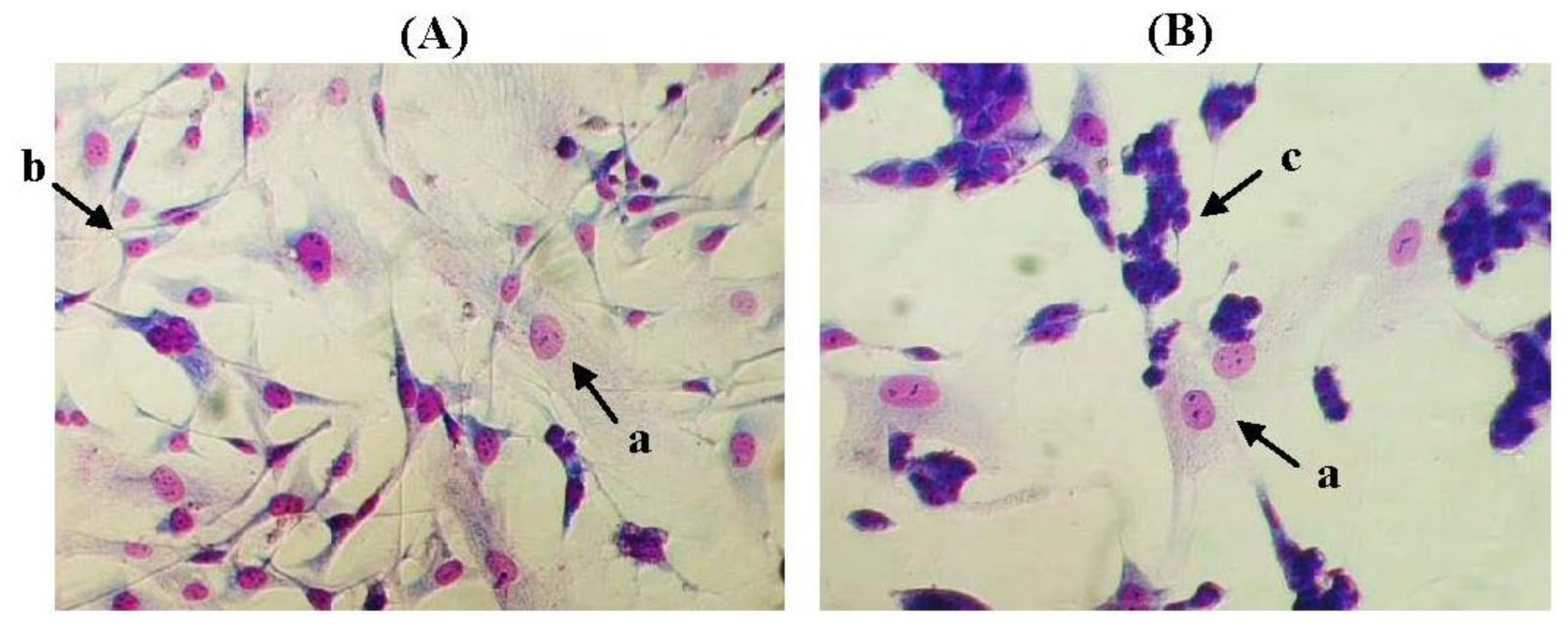 Ijms 13 05607f1 1024