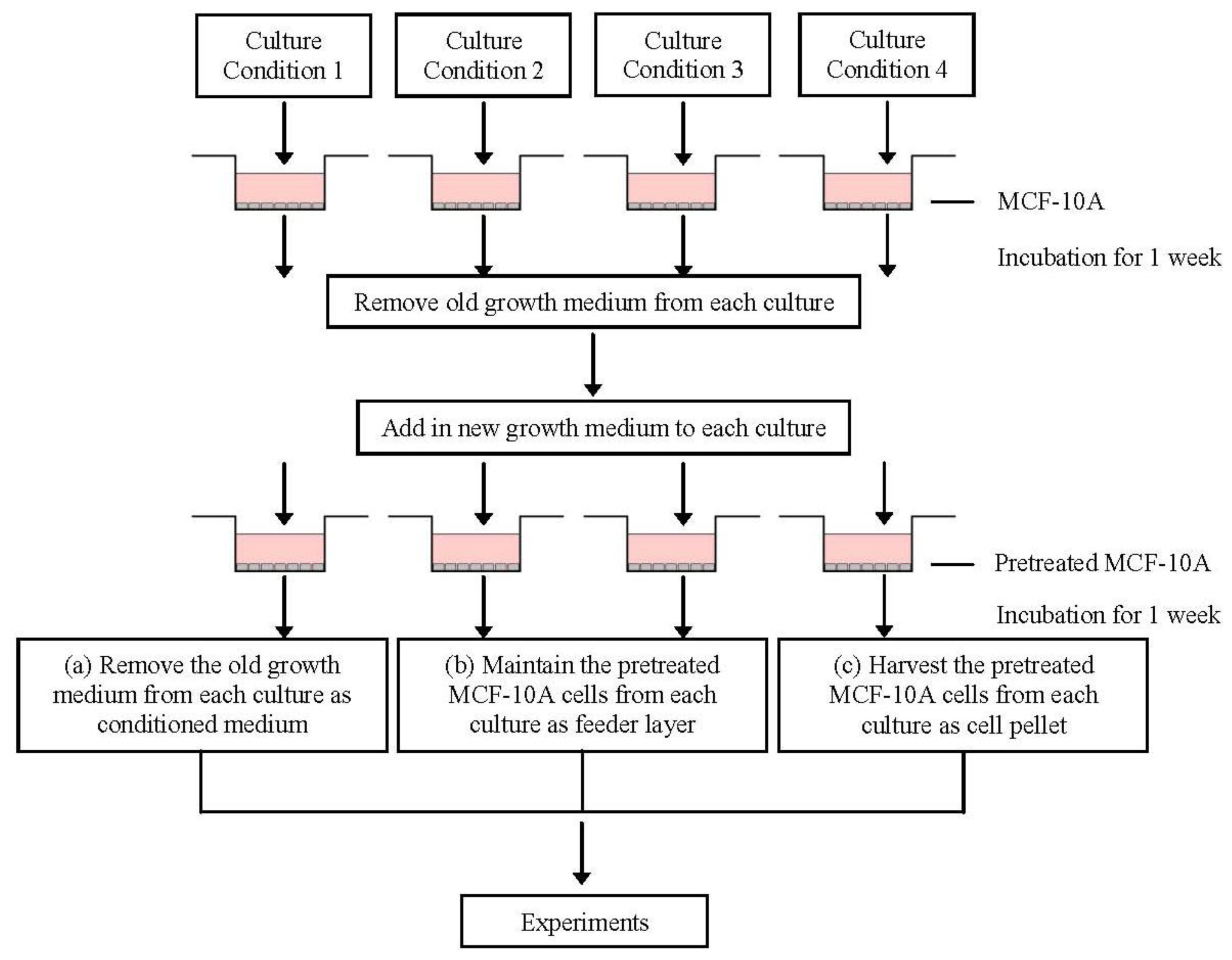 Ijms 13 05607f10 1024