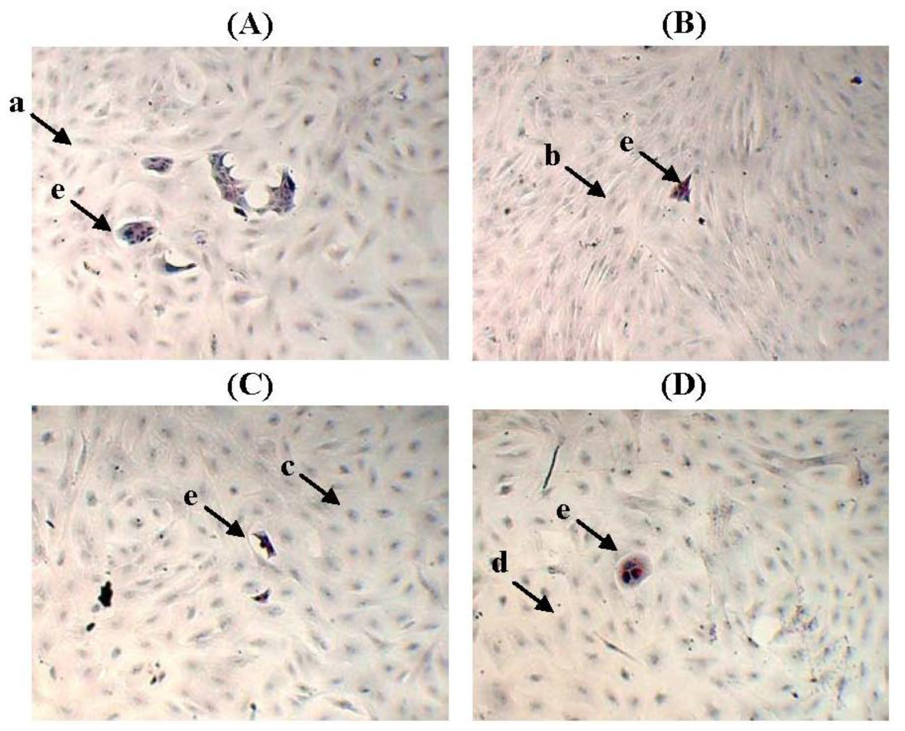 Ijms 13 05607f4 1024