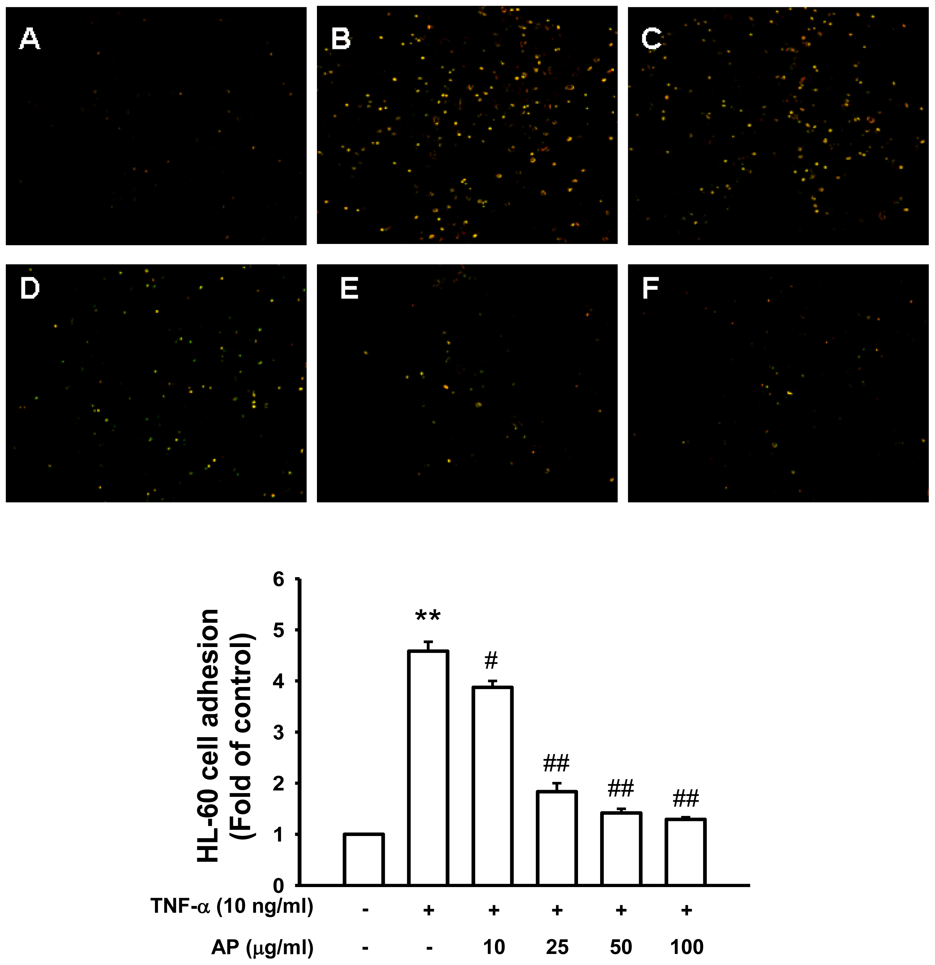 Ijms 13 05628f3 1024