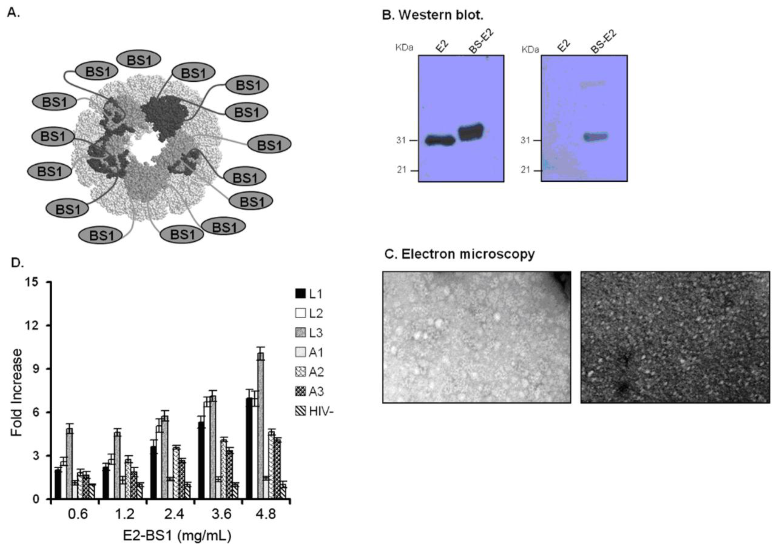 Ijms 13 05674f3 1024