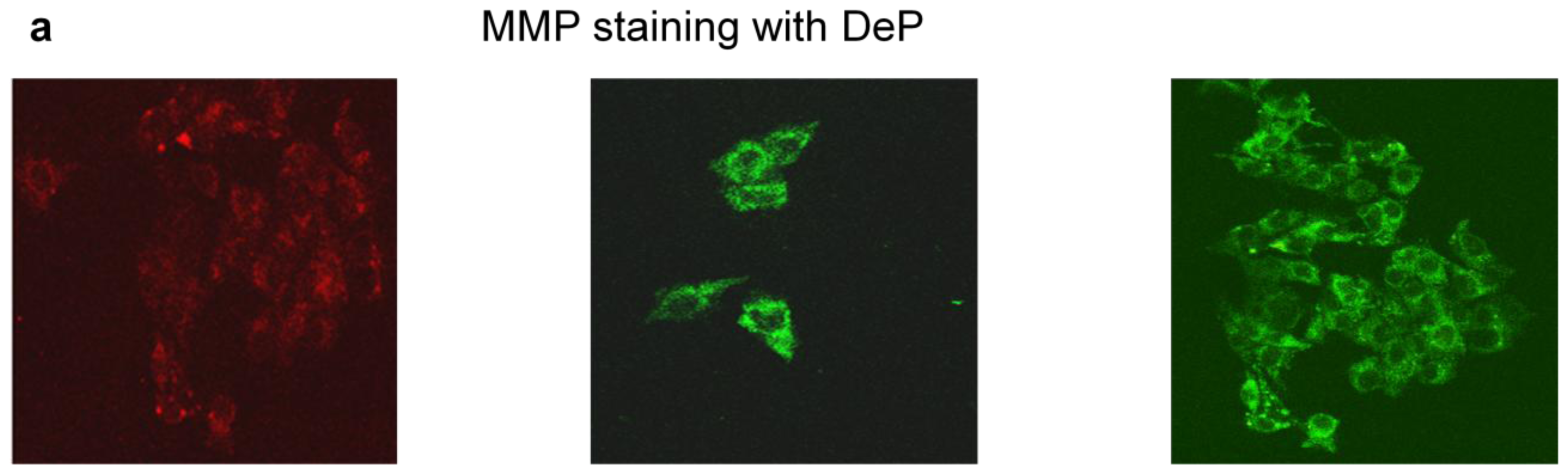 Ijms 13 05751f6a 1024