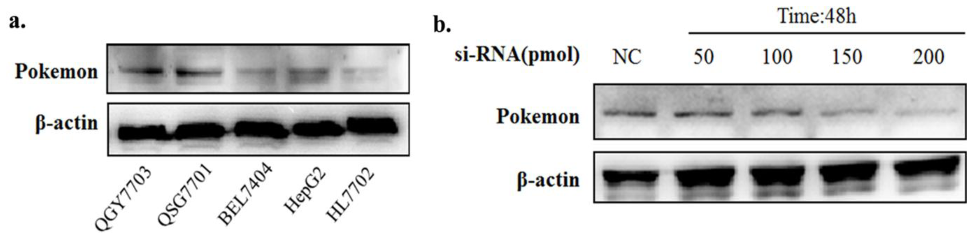 Ijms 13 05818f1 1024