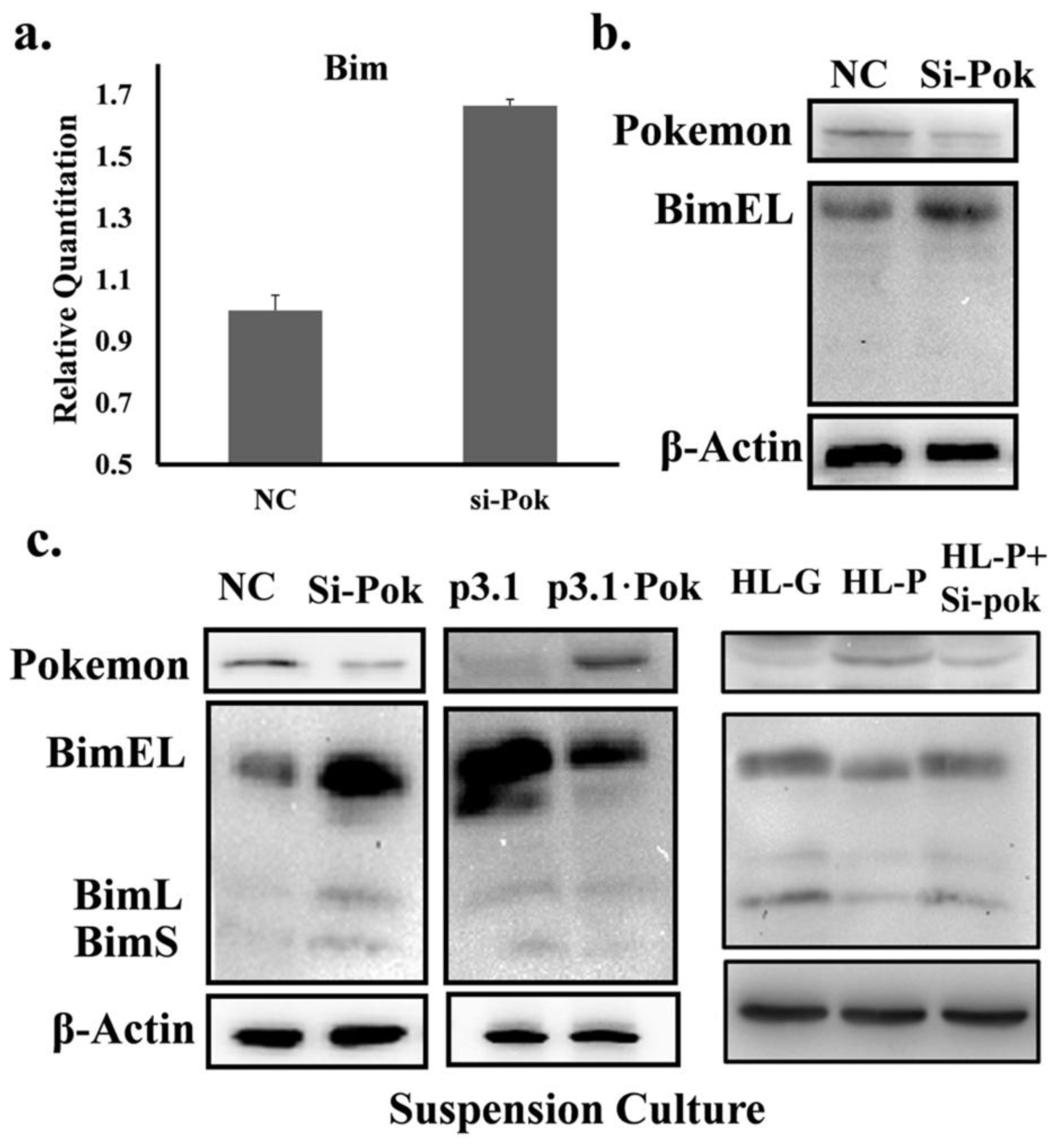 Ijms 13 05818f4 1024