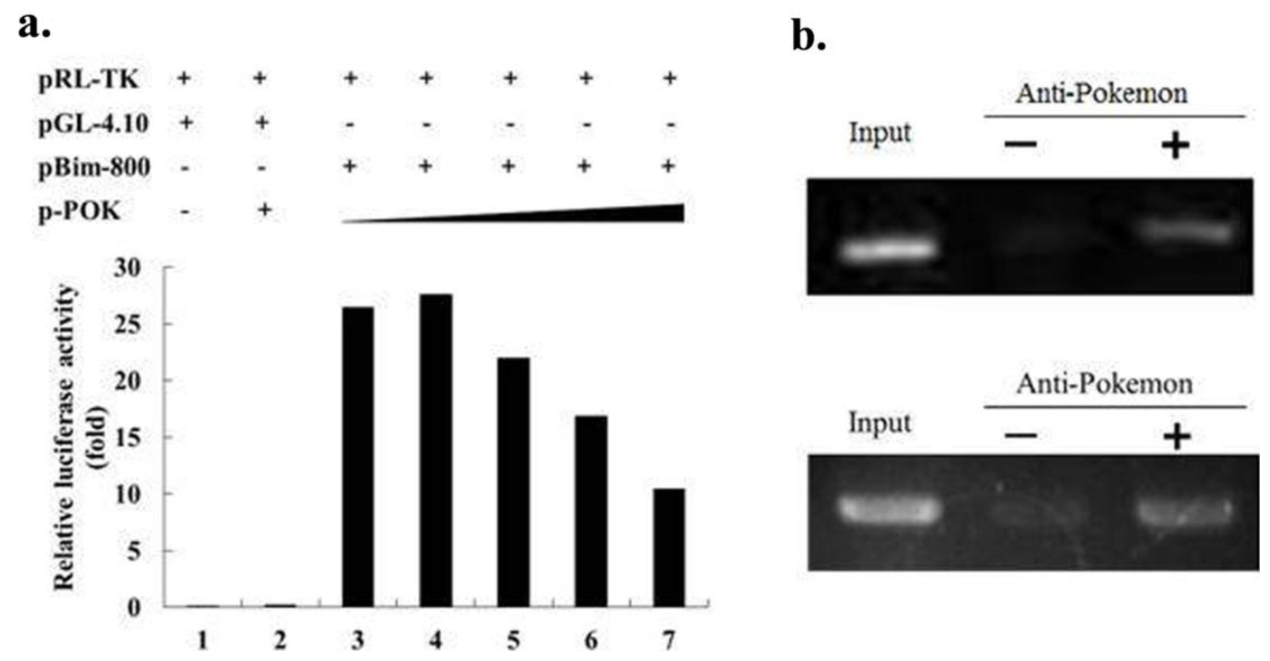 Ijms 13 05818f6 1024