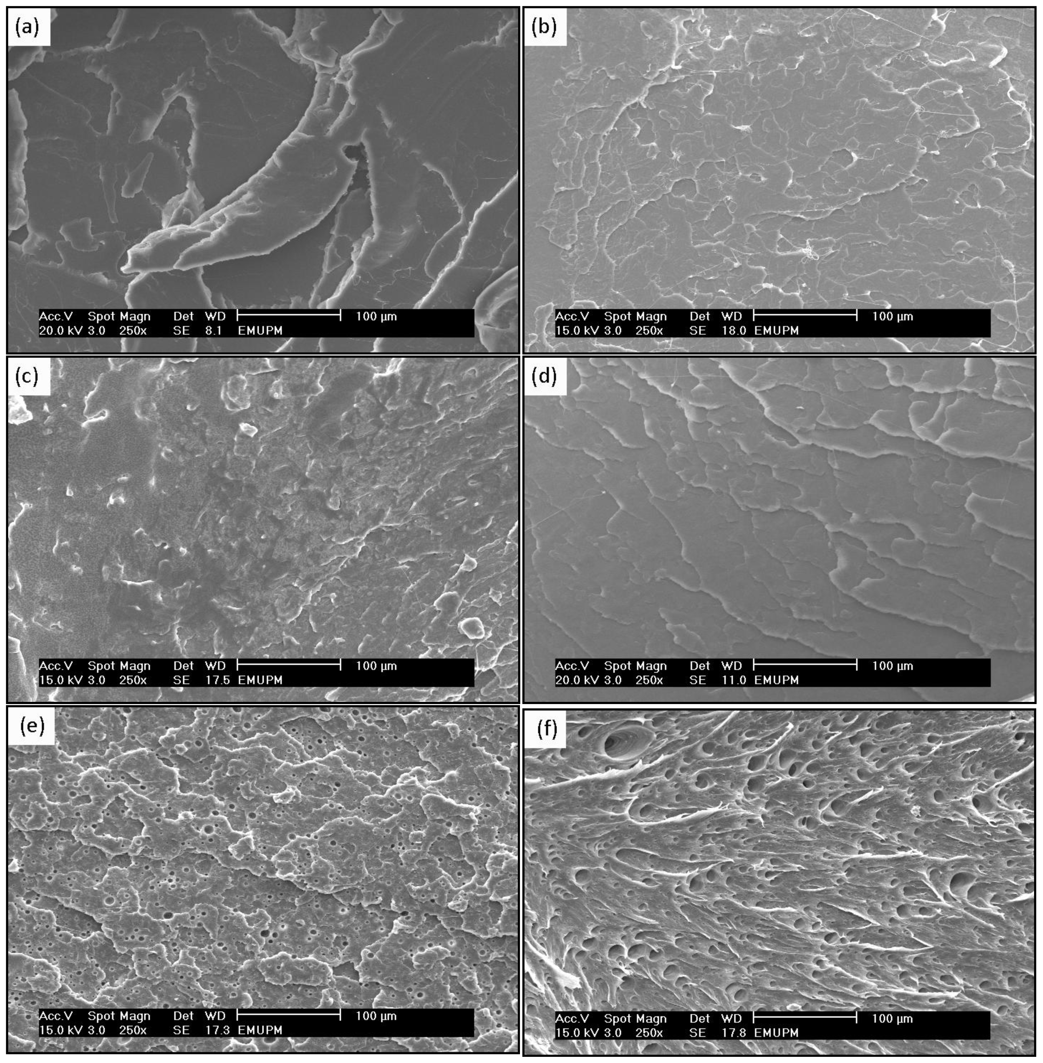 Ijms 13 05878f7 1024