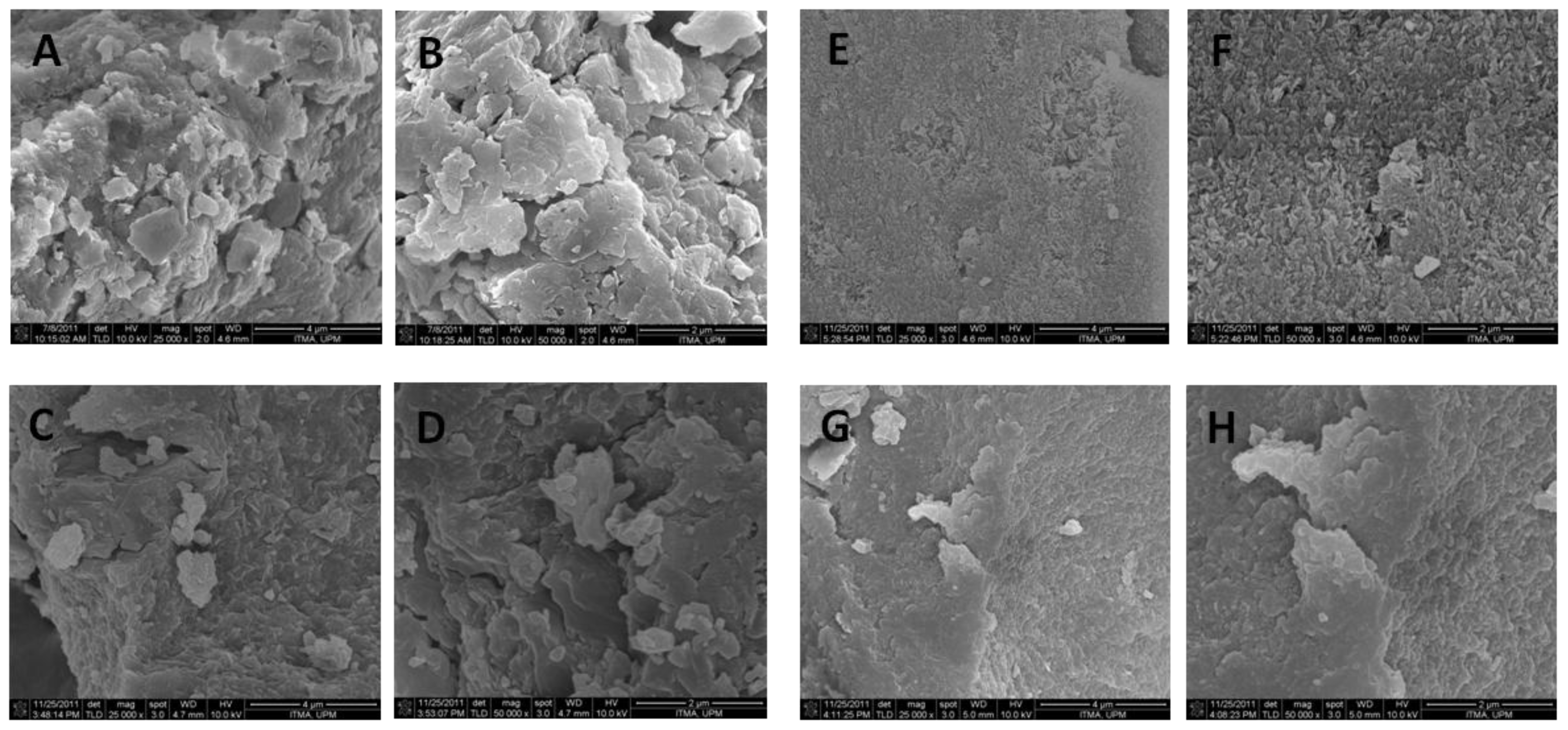 Ijms 13 05899f5 1024