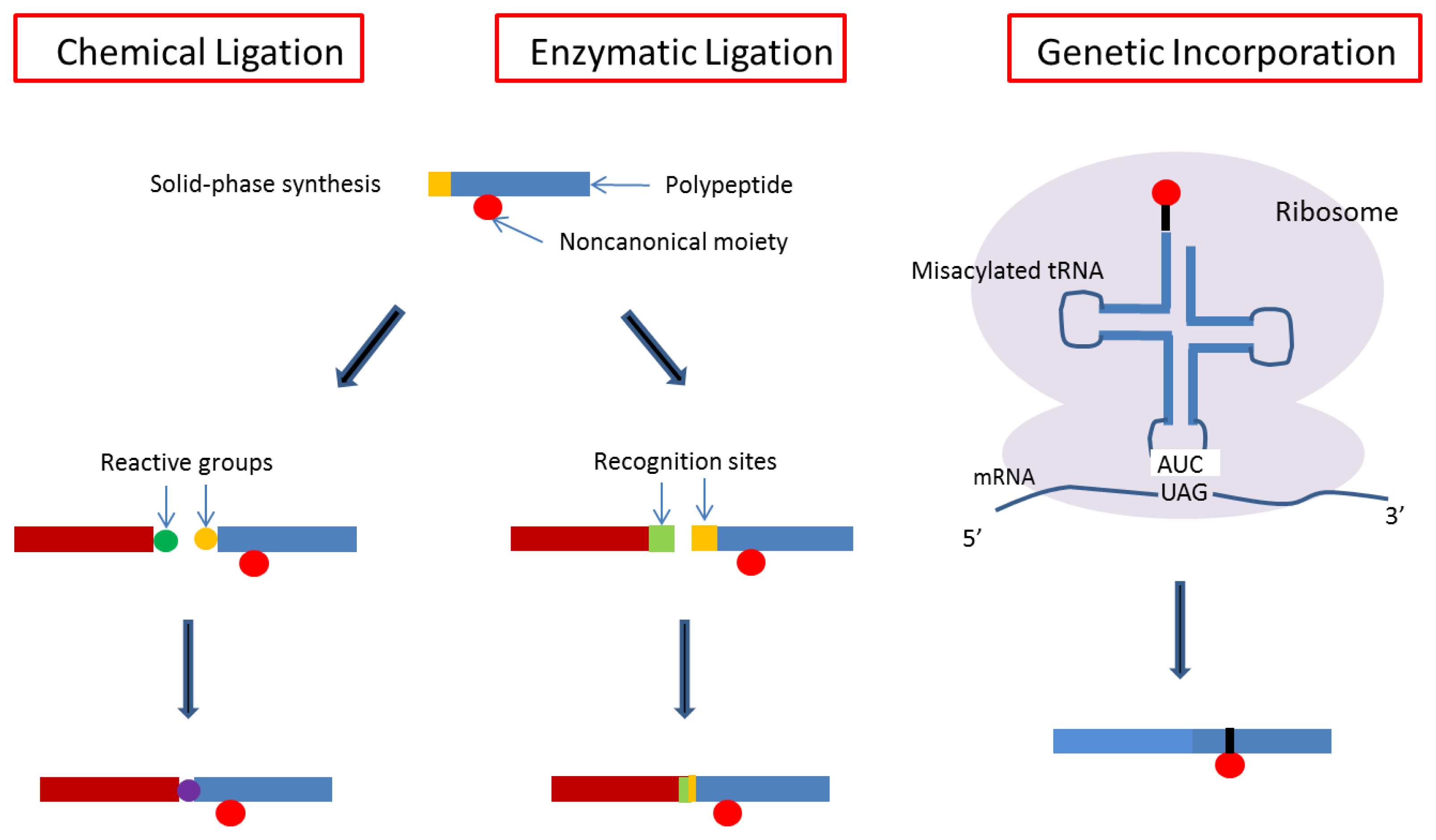 Ijms 13 06053f5 1024