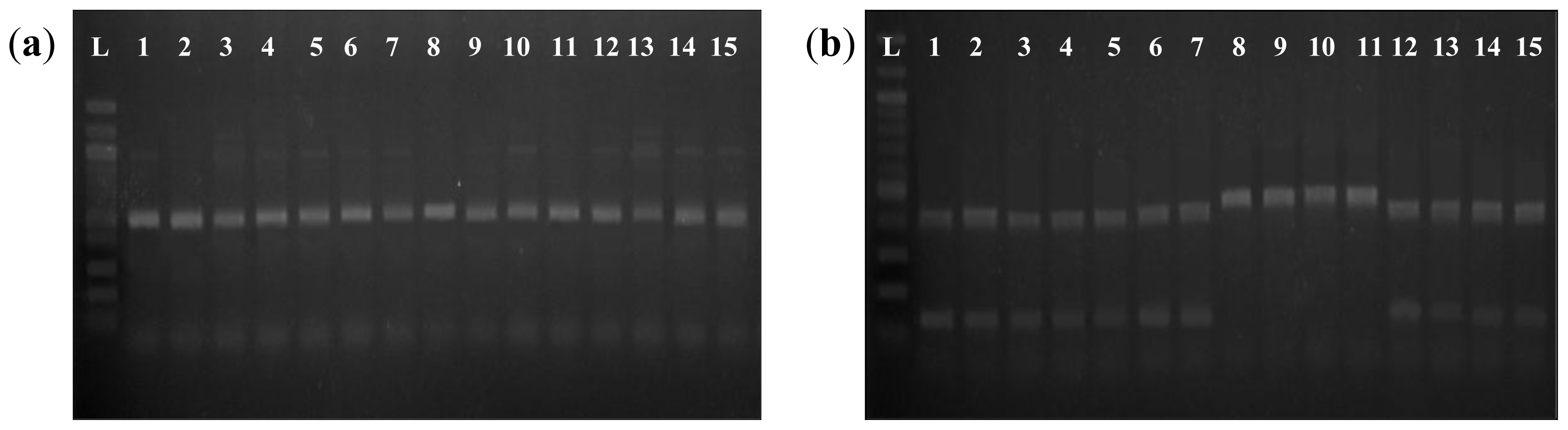 Ijms 13 06156f2 1024