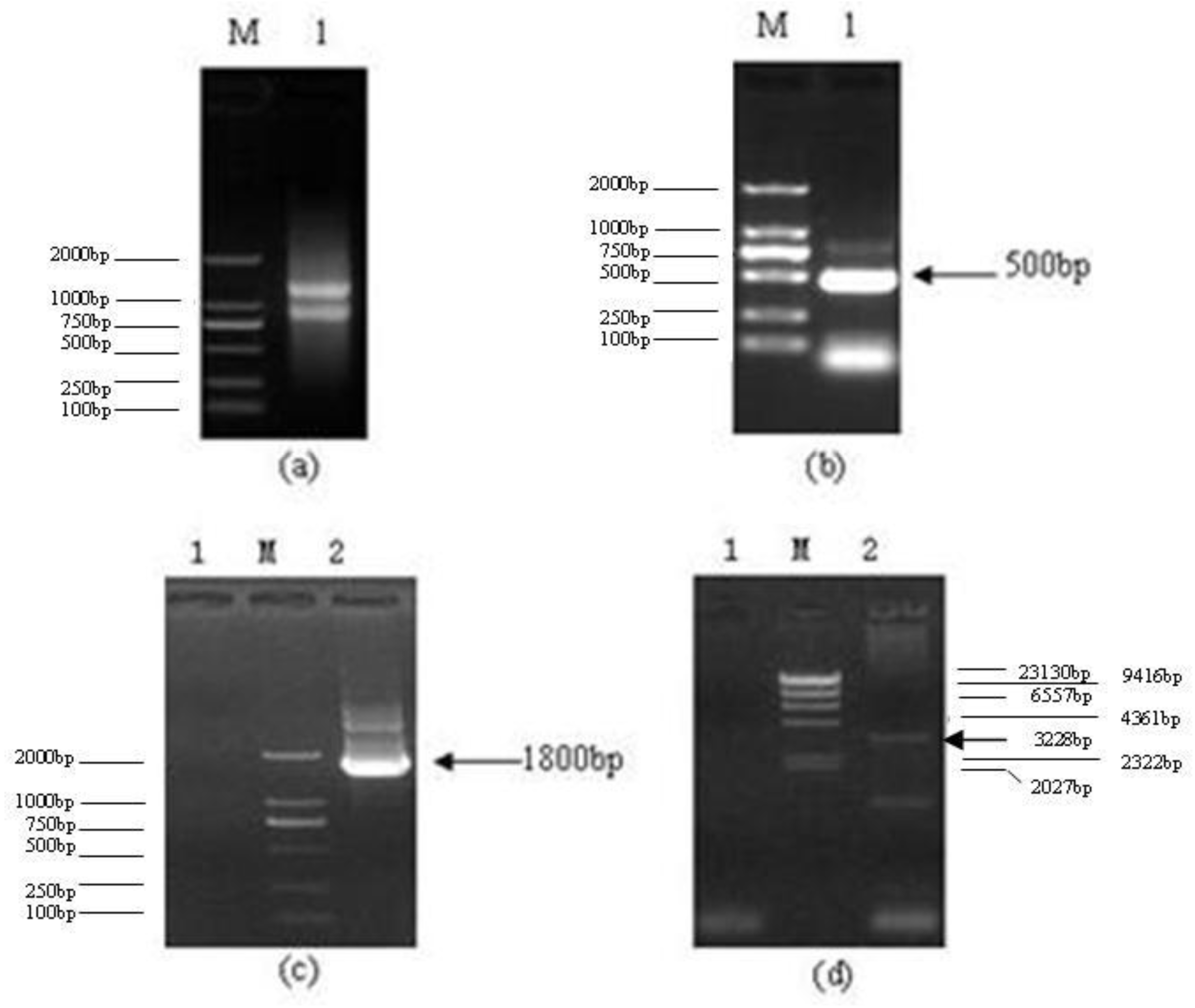 Ijms 13 06246f1 1024