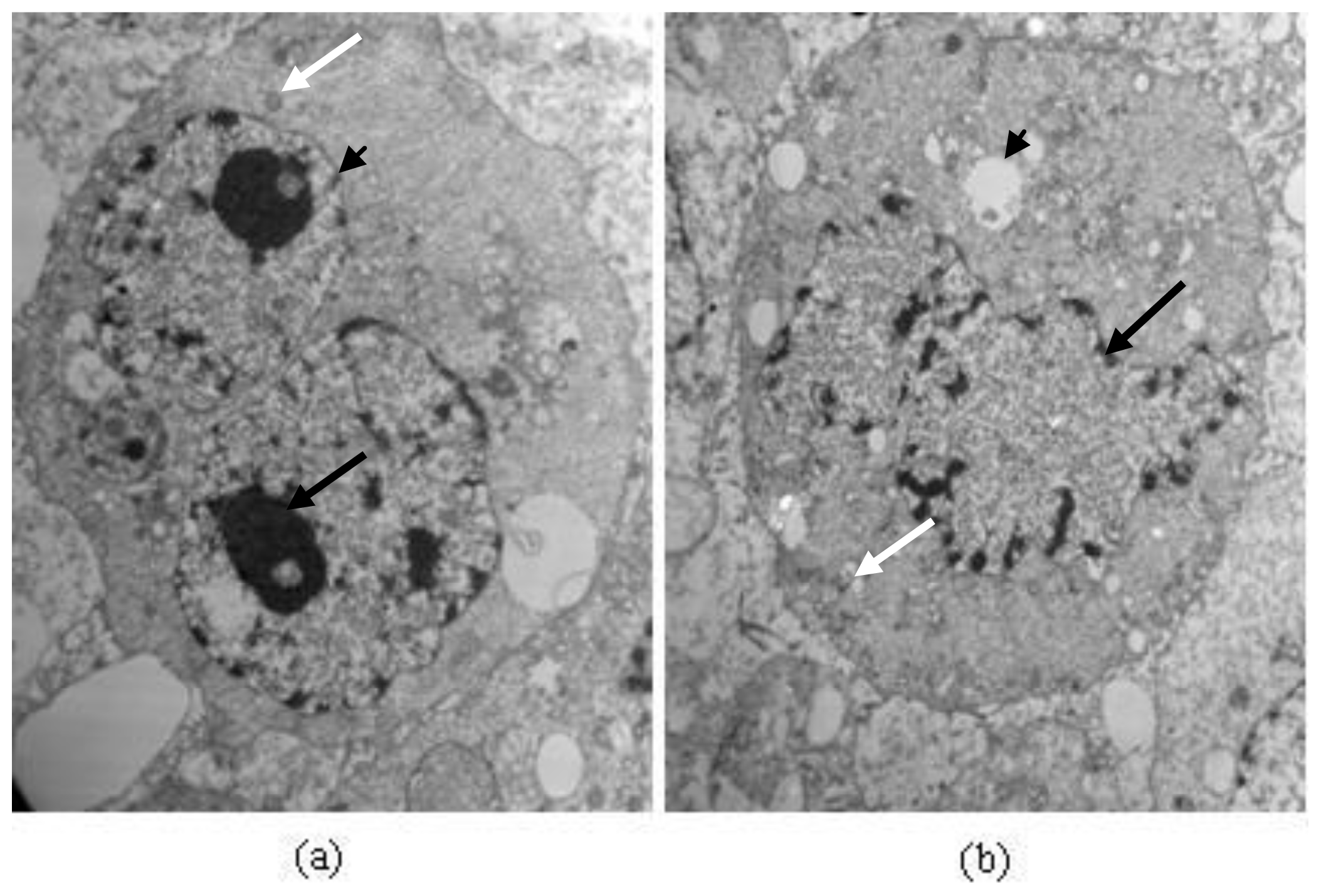 Ijms 13 06246f12 1024