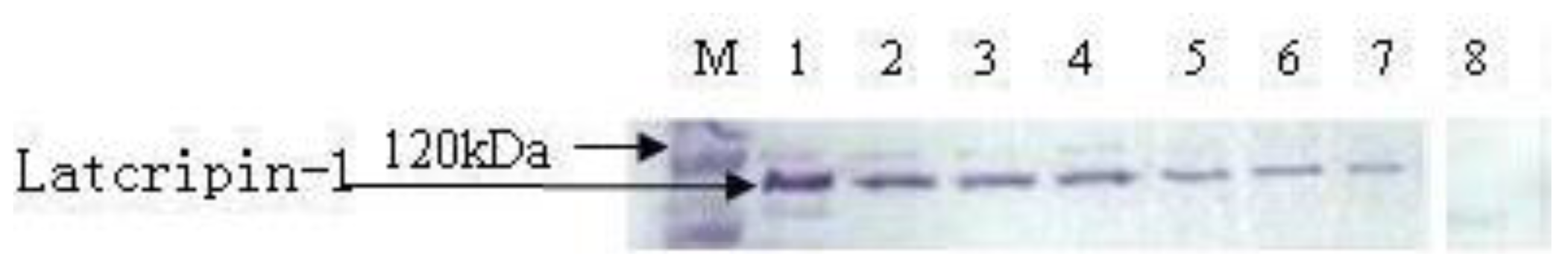 Ijms 13 06246f8 1024