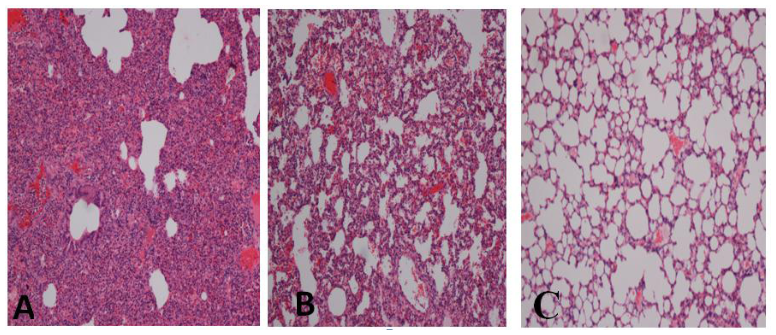 Ijms 13 06370f2 1024