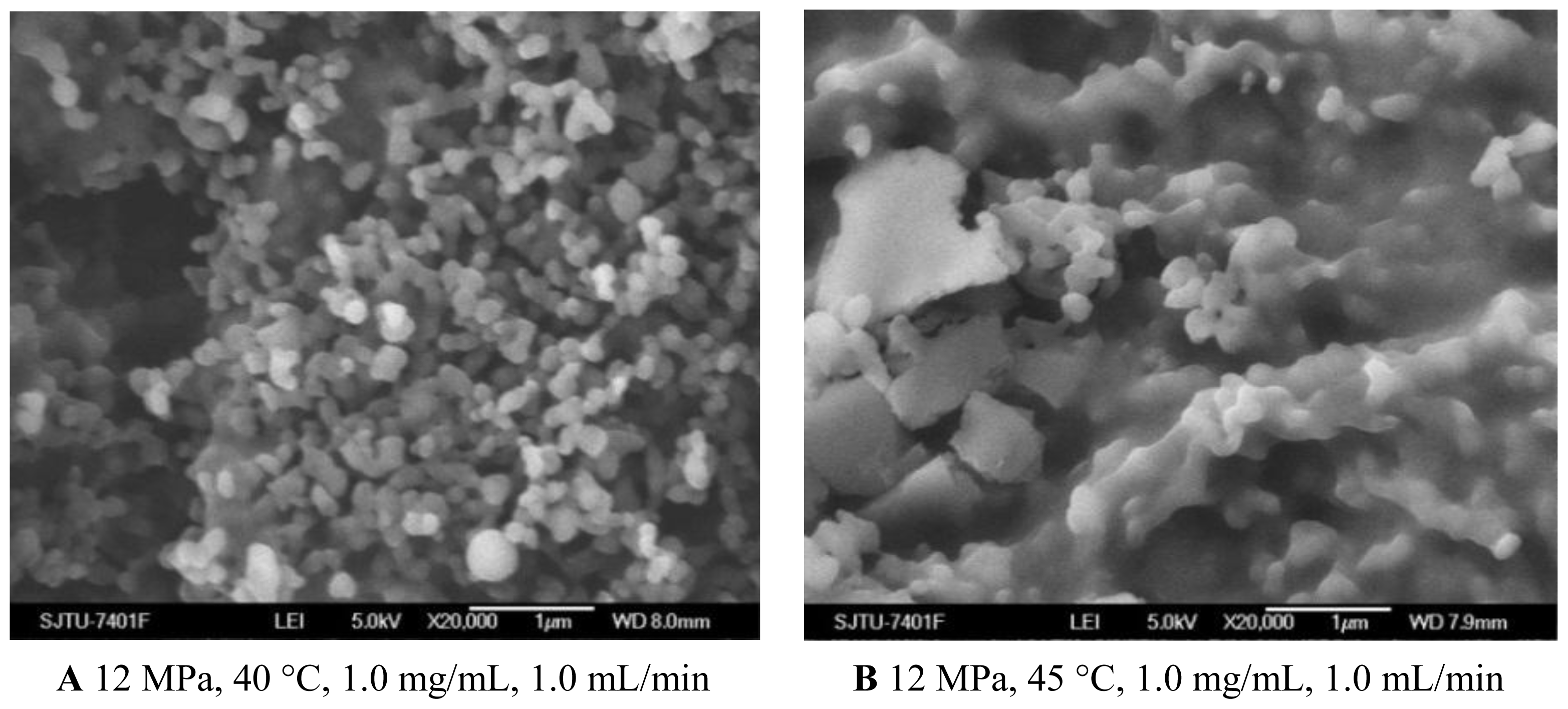 Ijms 13 06454f3 1024