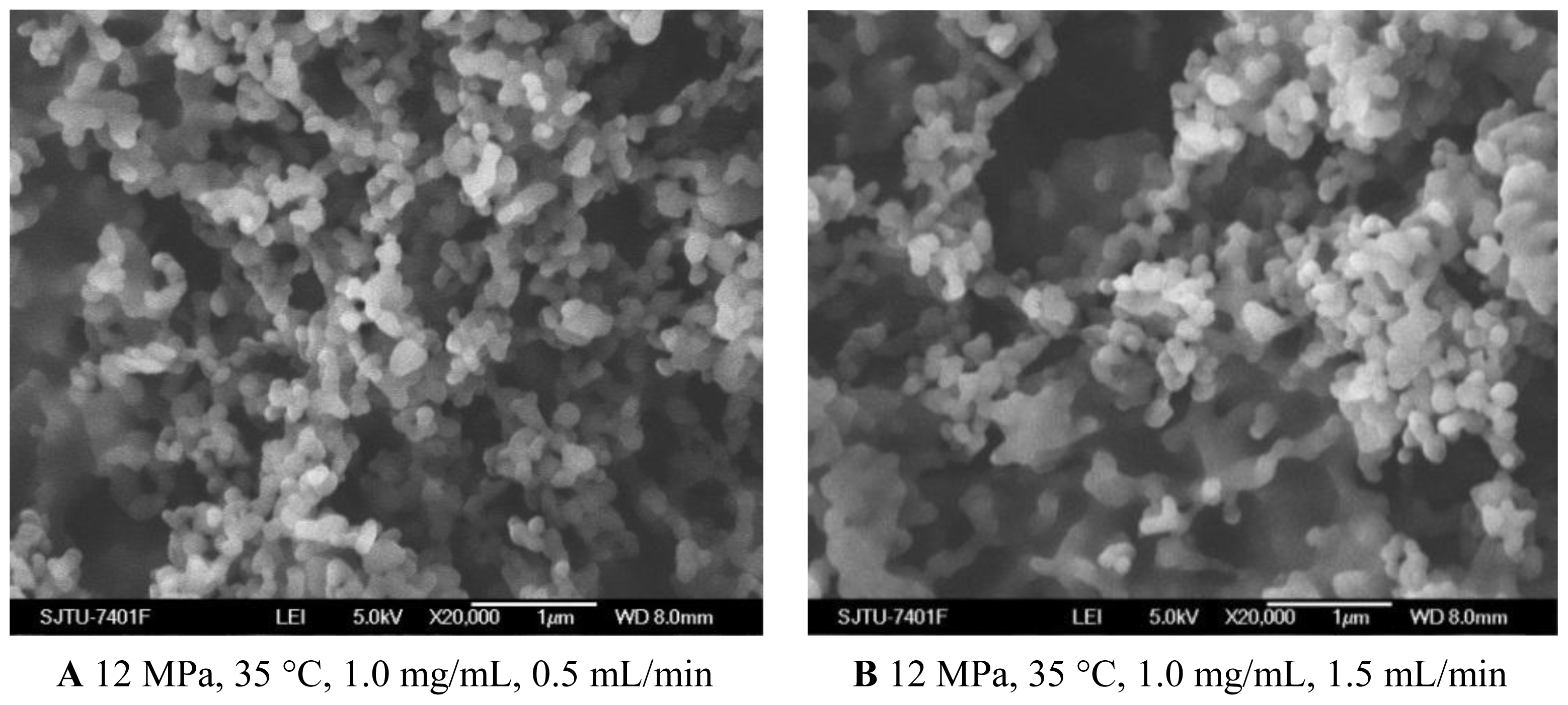 Ijms 13 06454f5 1024