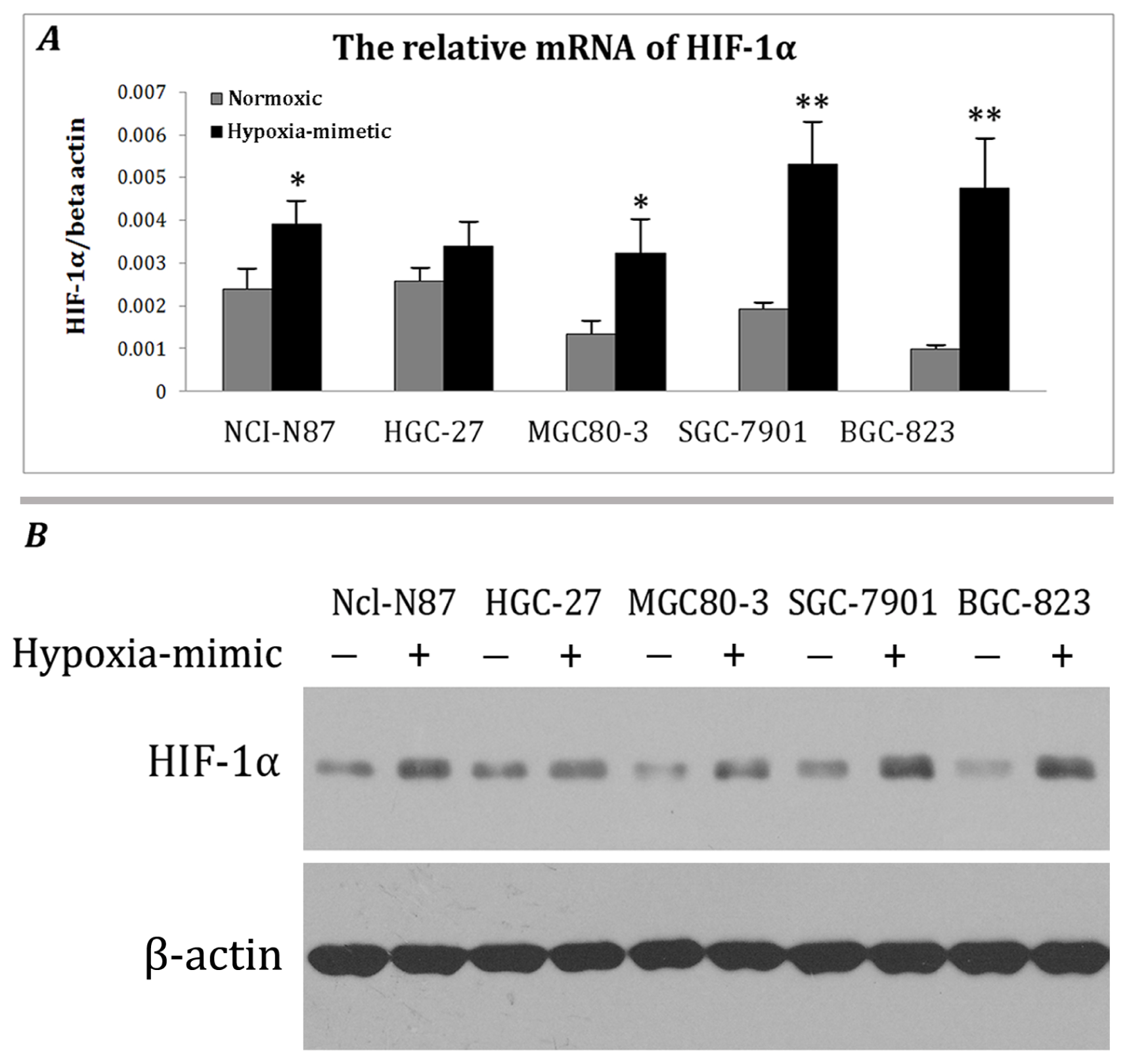 Ijms 13 06521f1 1024