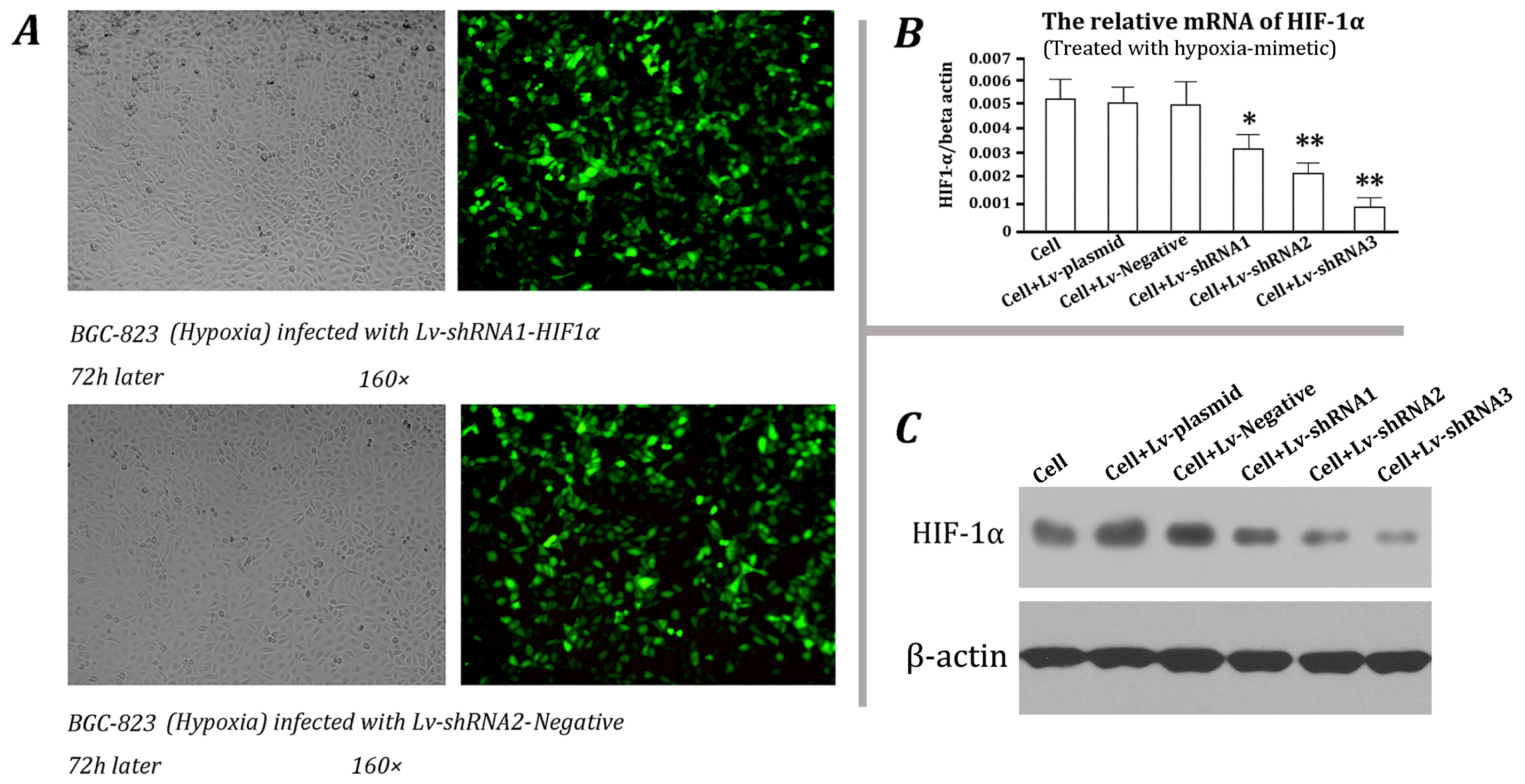 Ijms 13 06521f2 1024