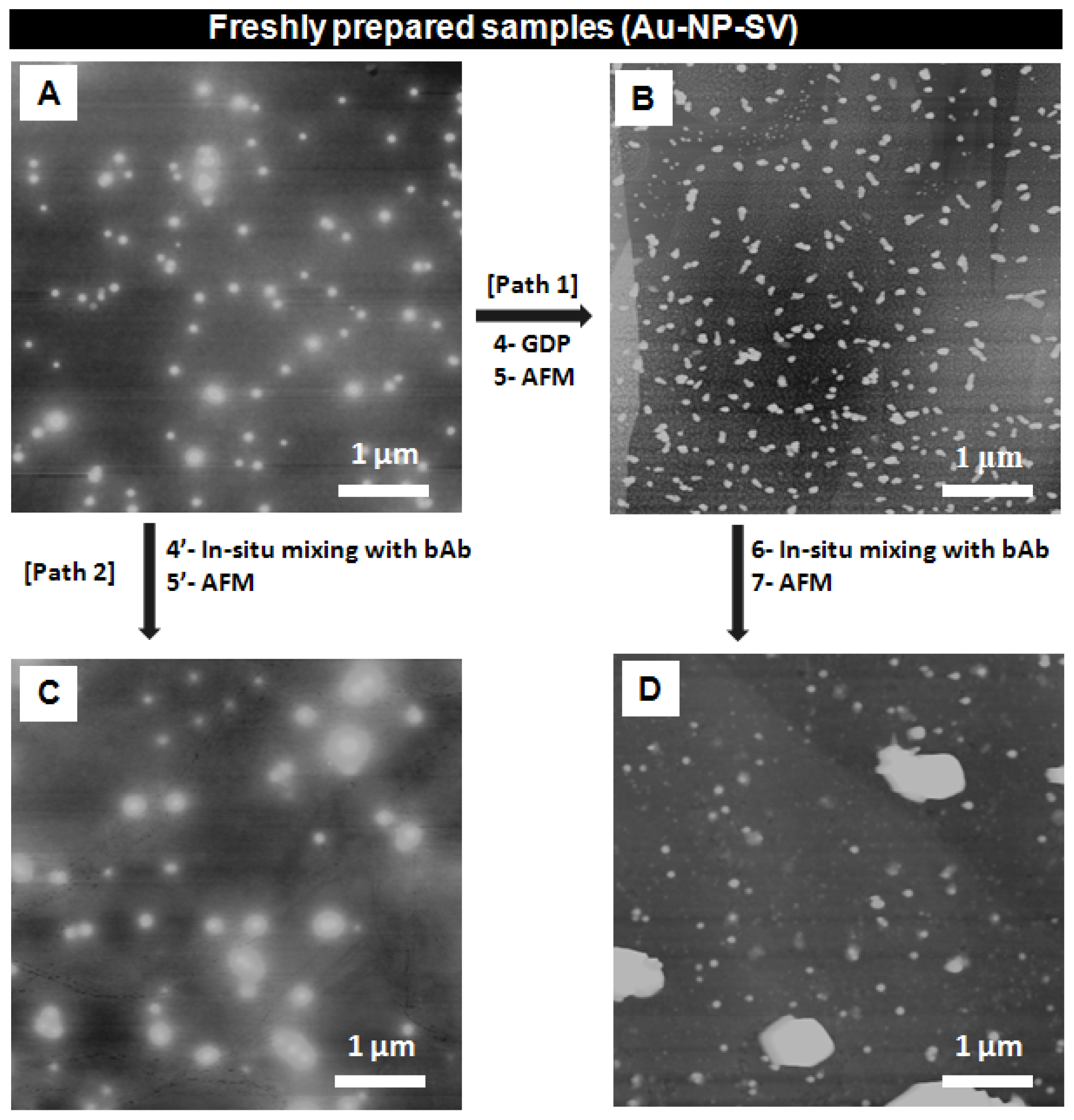 Ijms 13 06534f3 1024