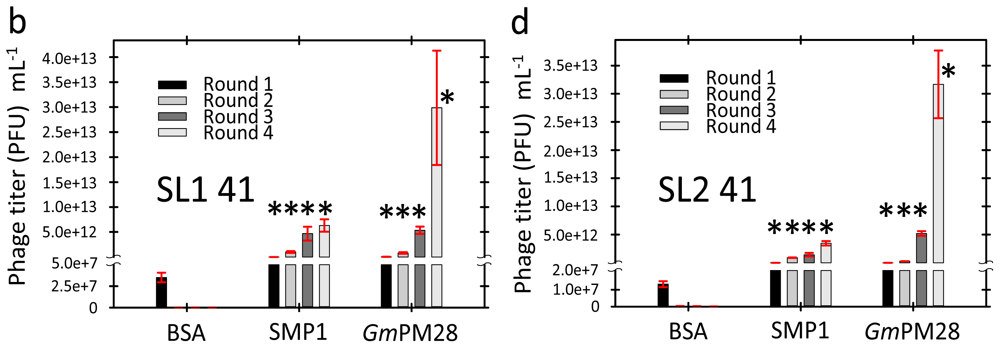 Ijms 13 06582f2b 1024