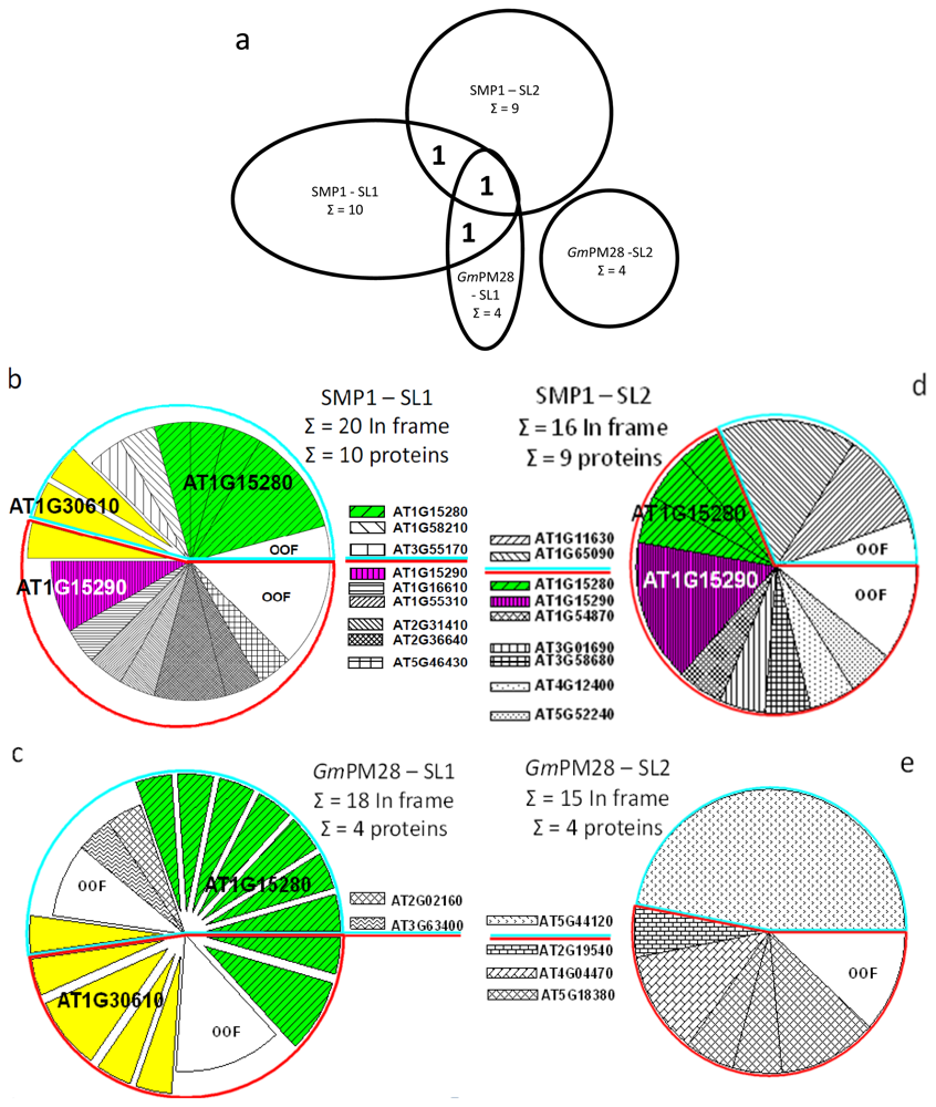 Ijms 13 06582f3 1024