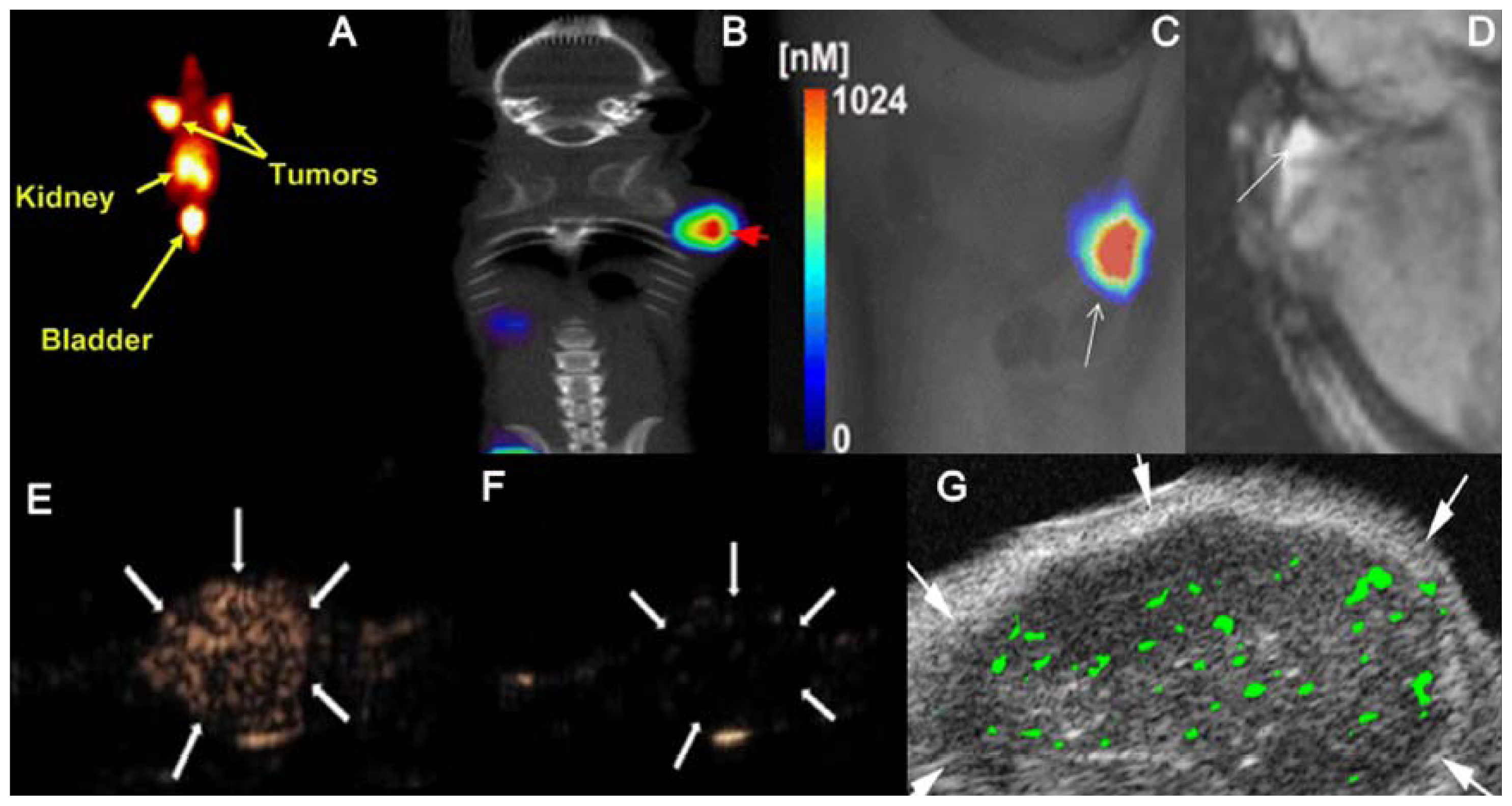 Ijms 13 06679f2 1024