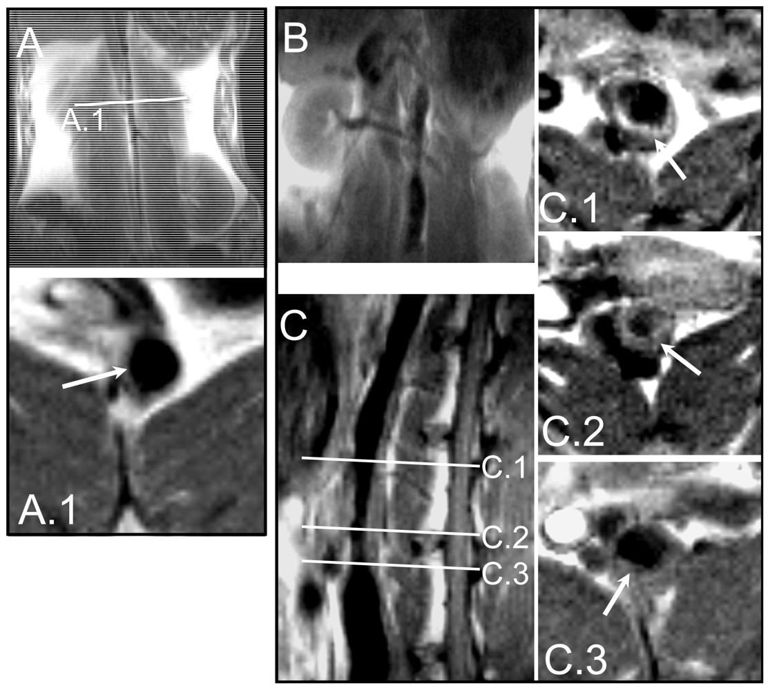 Ijms 13 06902f2 1024