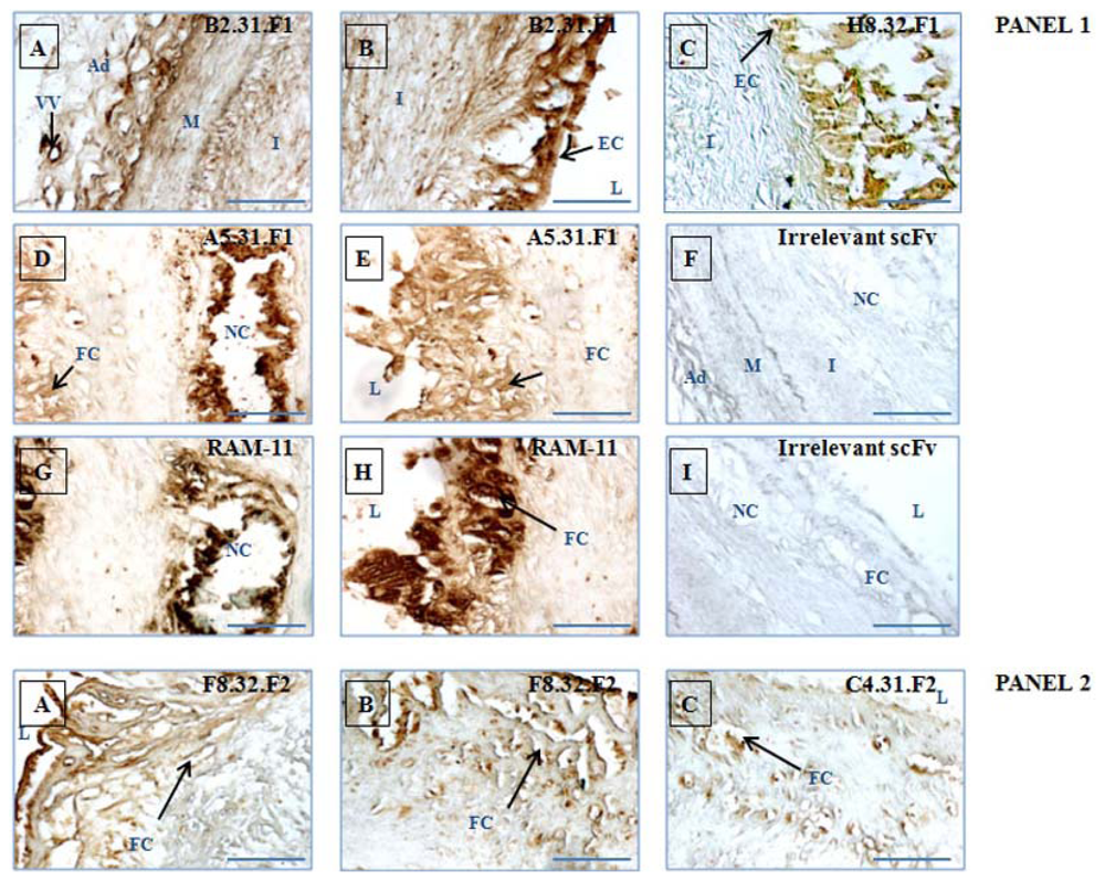 Ijms 13 06902f8a 1024