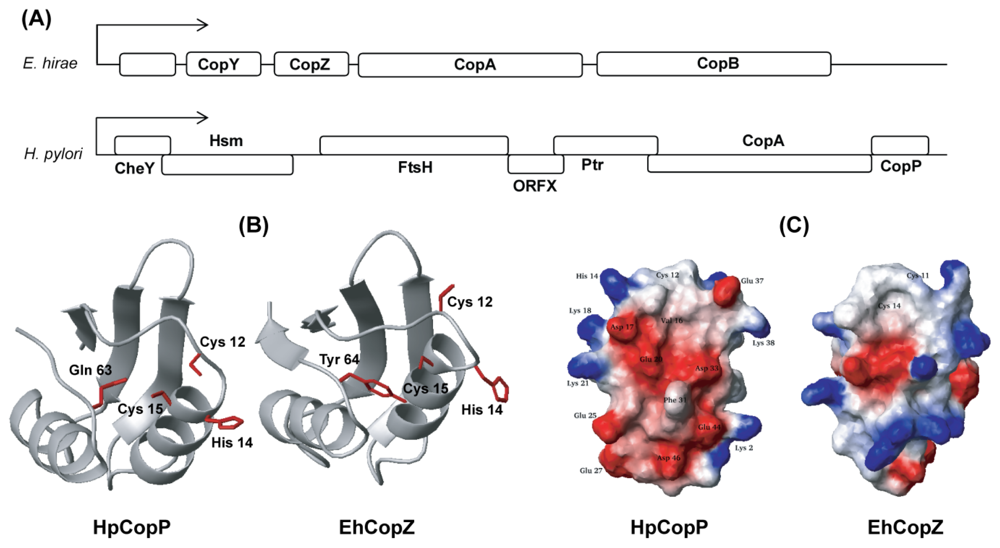 Ijms 13 07109f8 1024