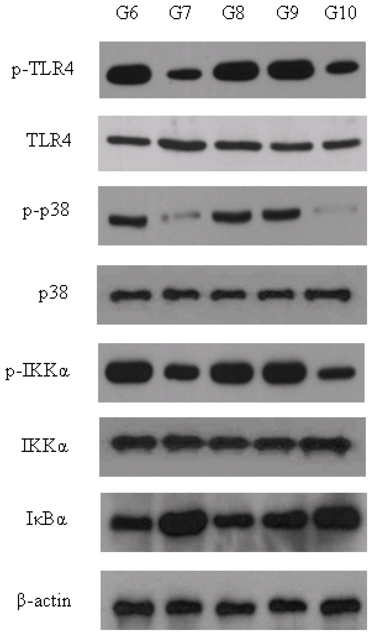 Ijms 13 07174f5 1024