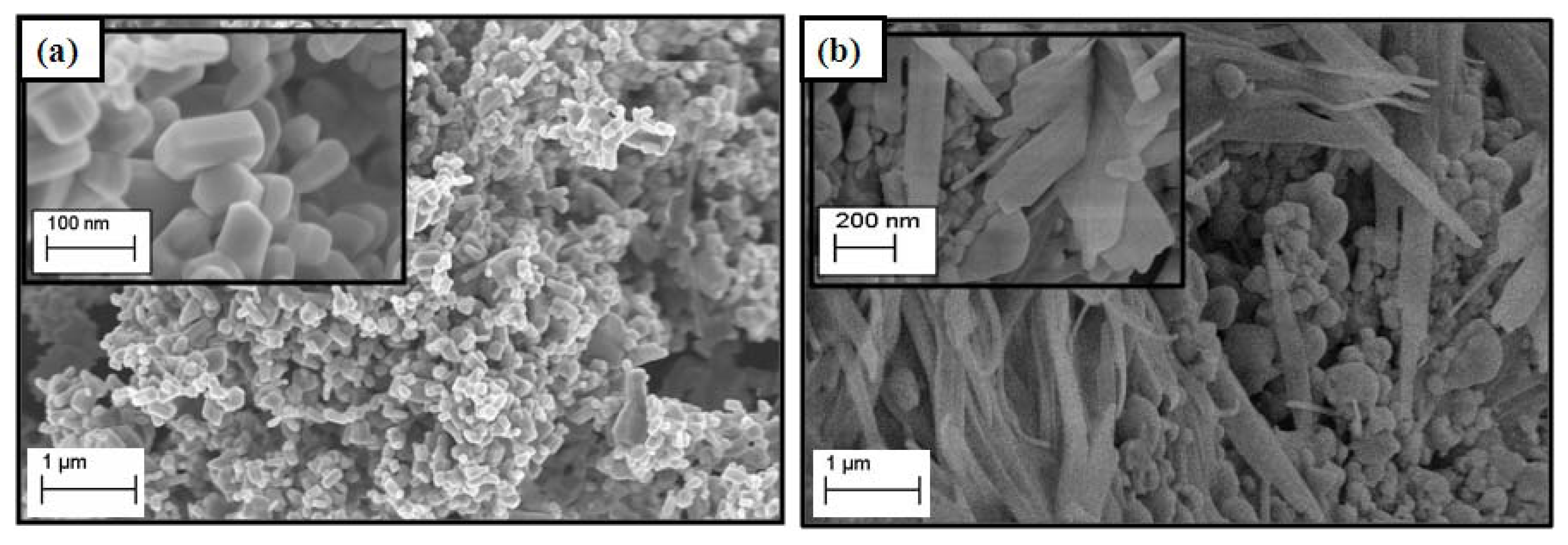 Ijms 13 07328f3 1024