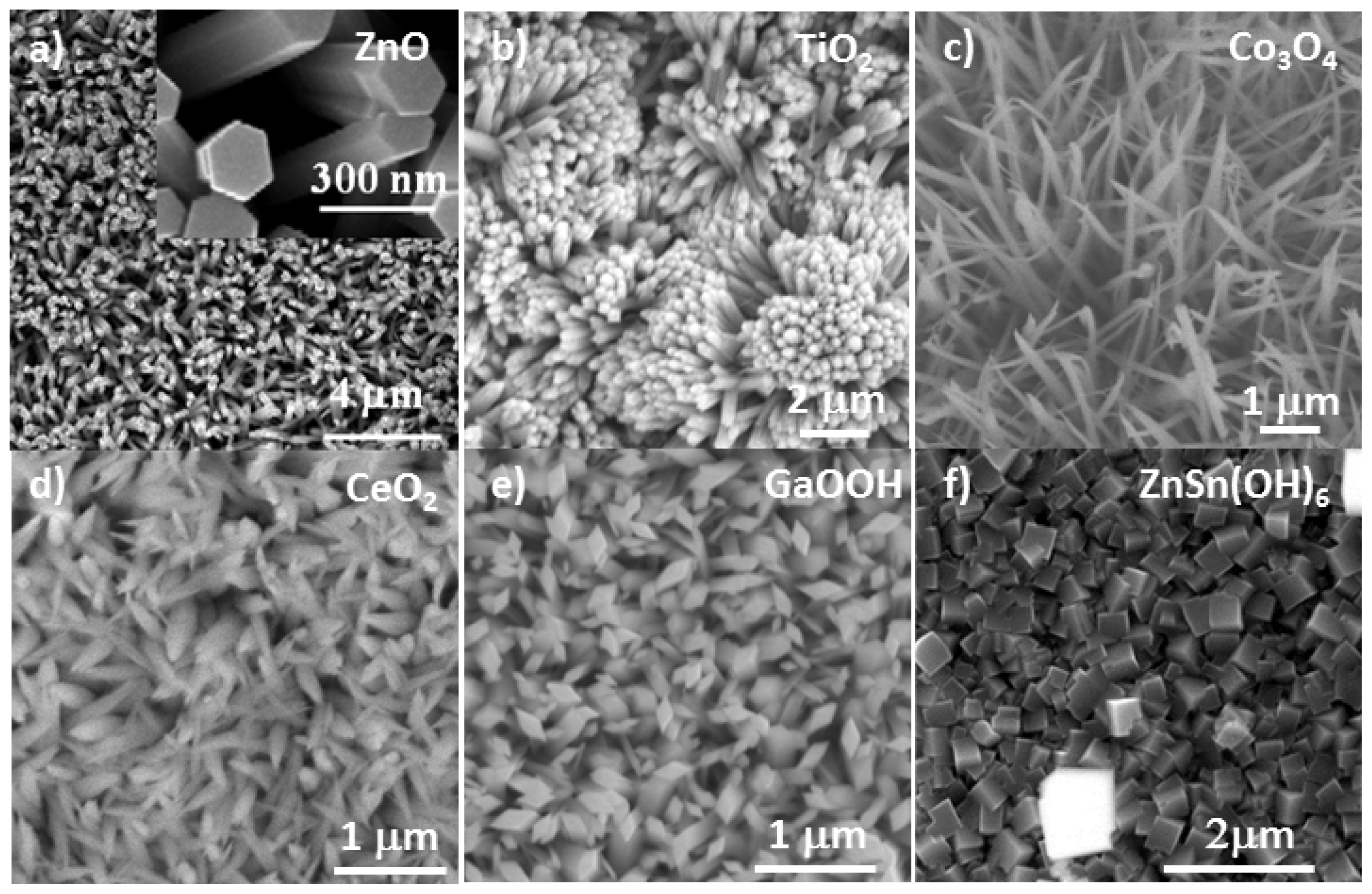 IJMS | Free Full-Text | Hierarchical Assembly of Multifunctional 