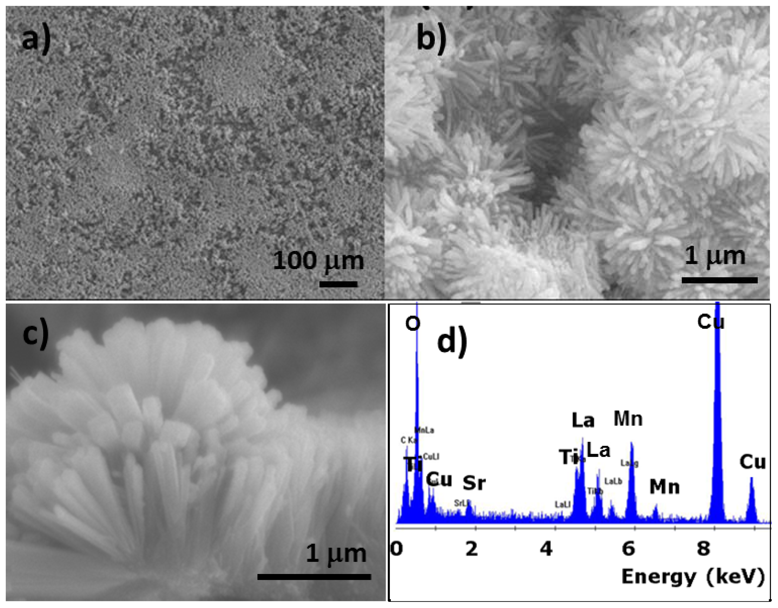 Ijms 13 07393f11 1024