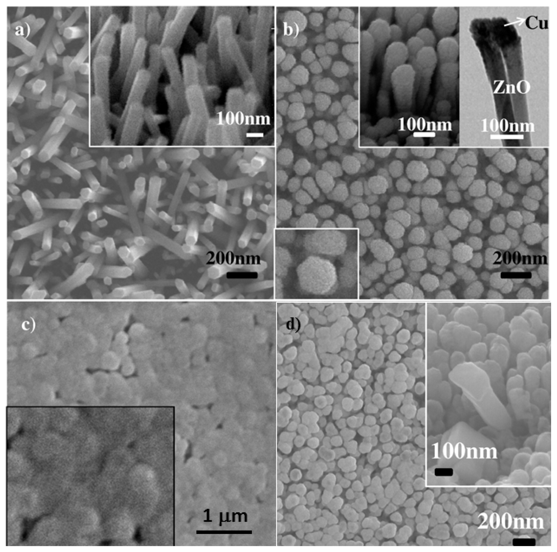 Ijms 13 07393f19 1024