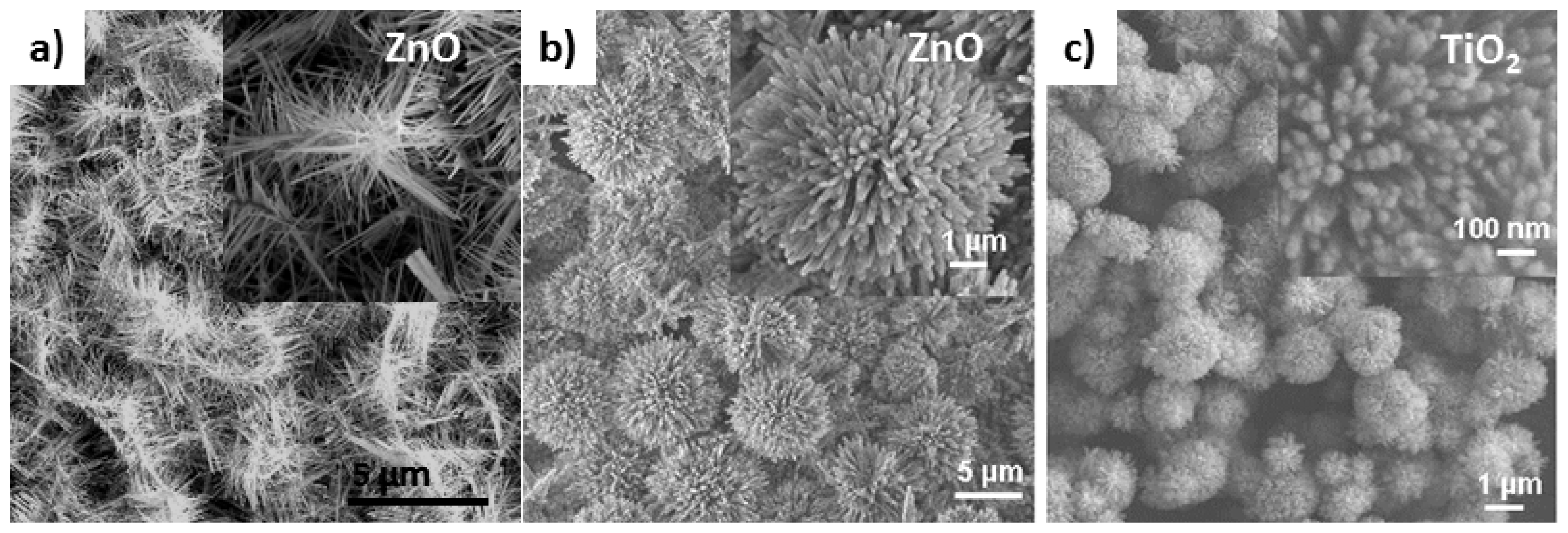 Ijms 13 07393f3 1024