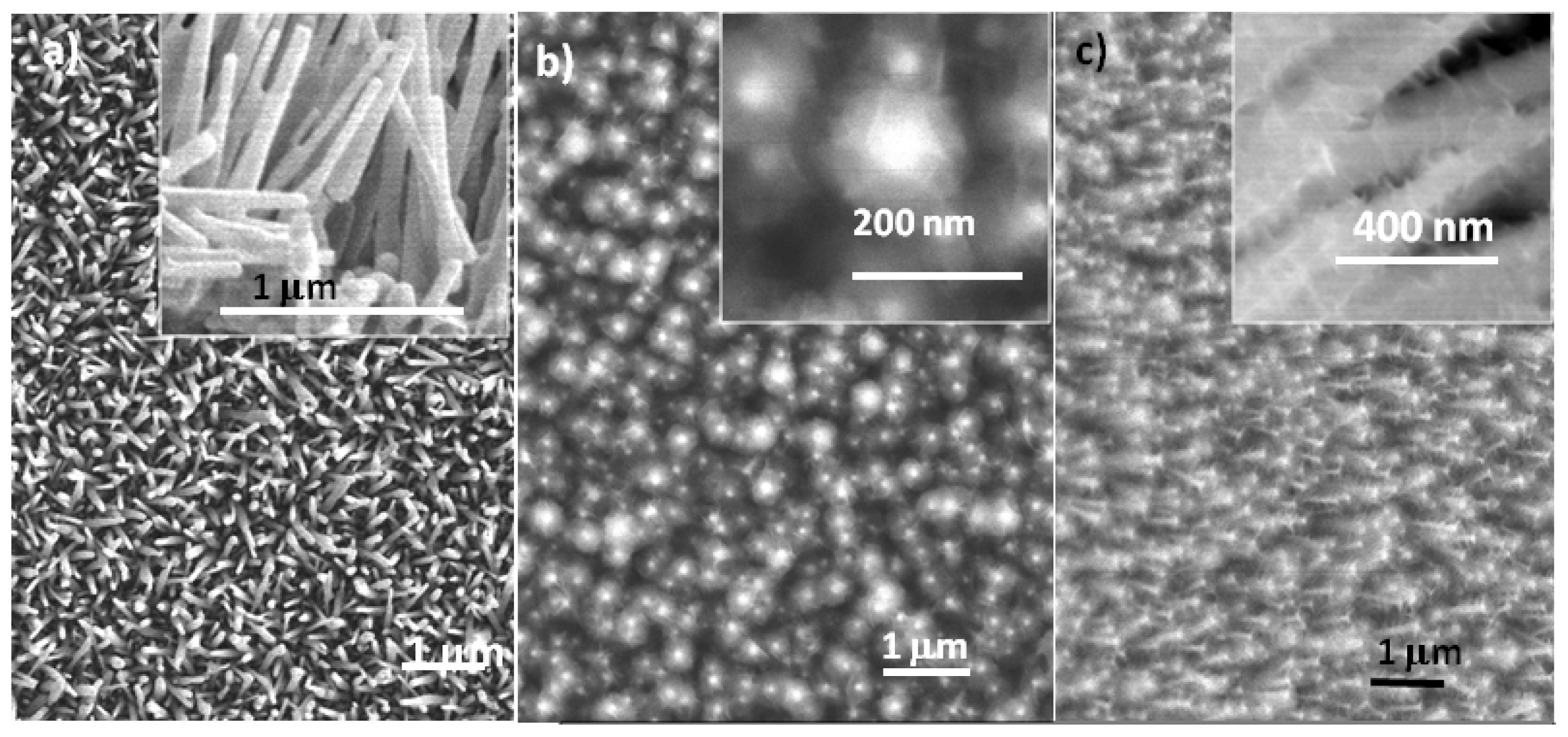 Ijms 13 07393f4a 1024