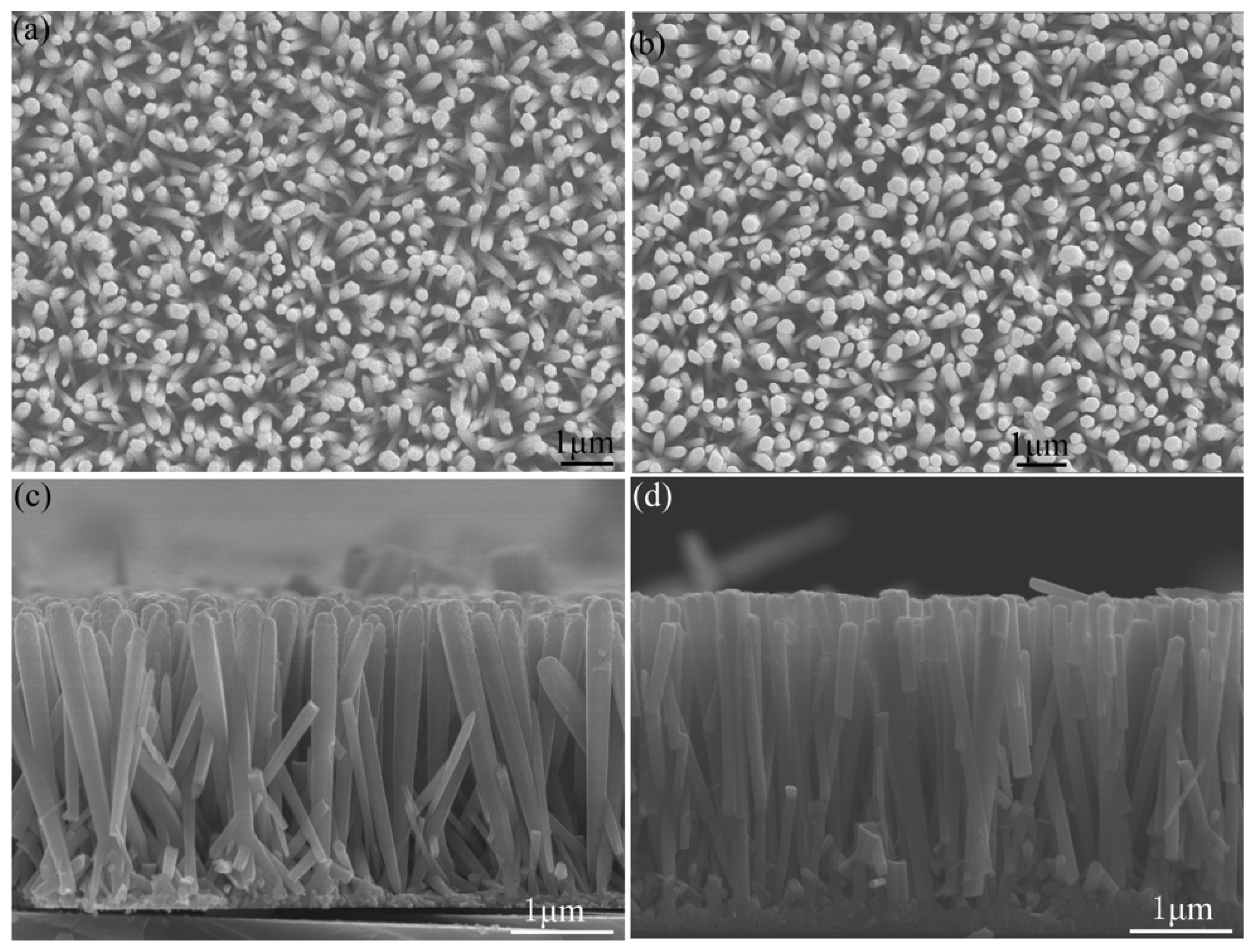 Ijms 13 07393f8 1024