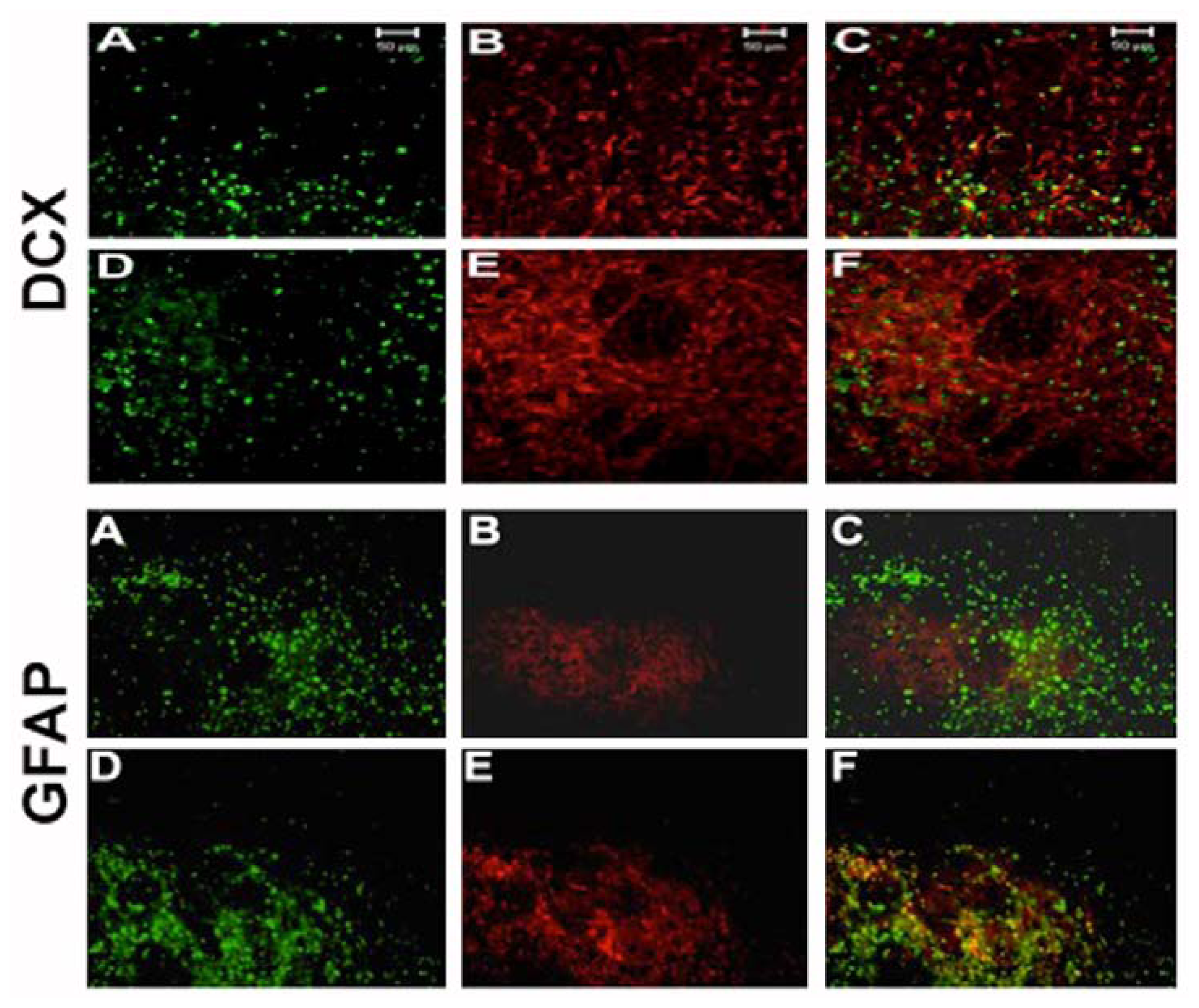 Ijms 13 07424f5 1024