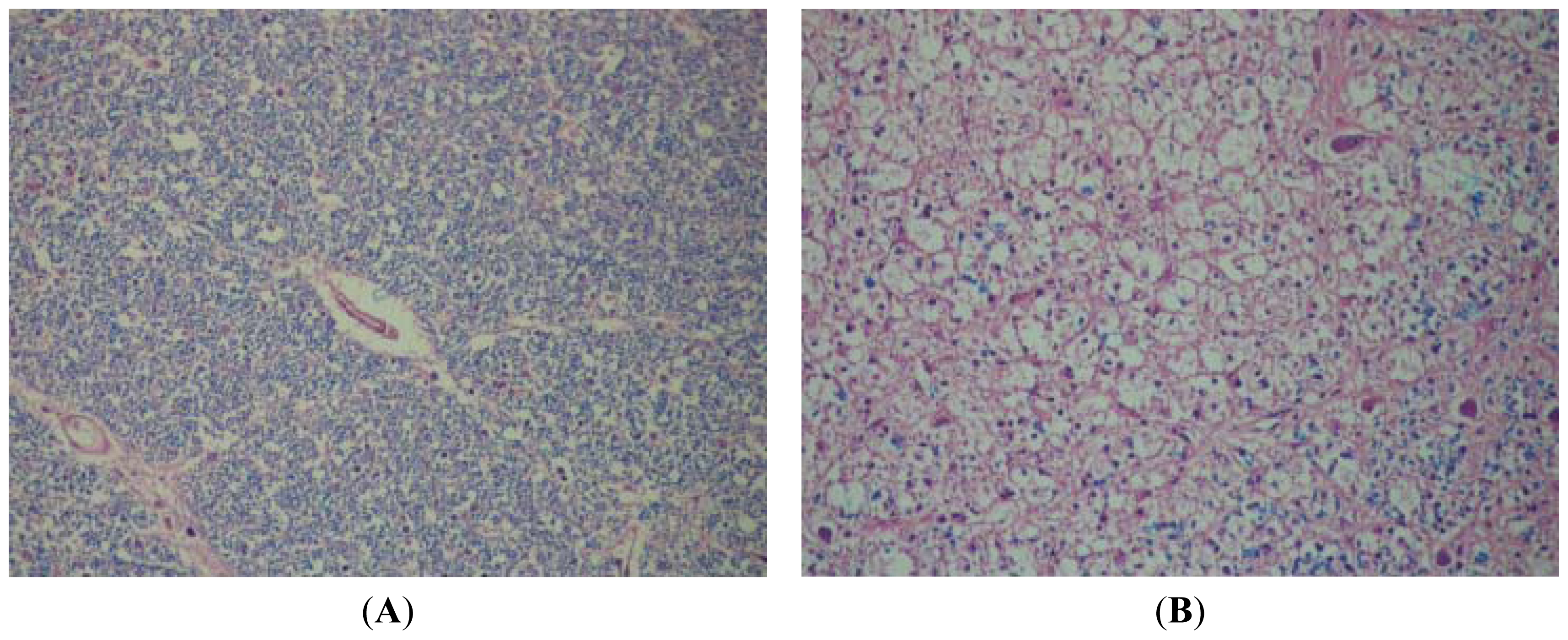 Ijms 13 07676f5 1024