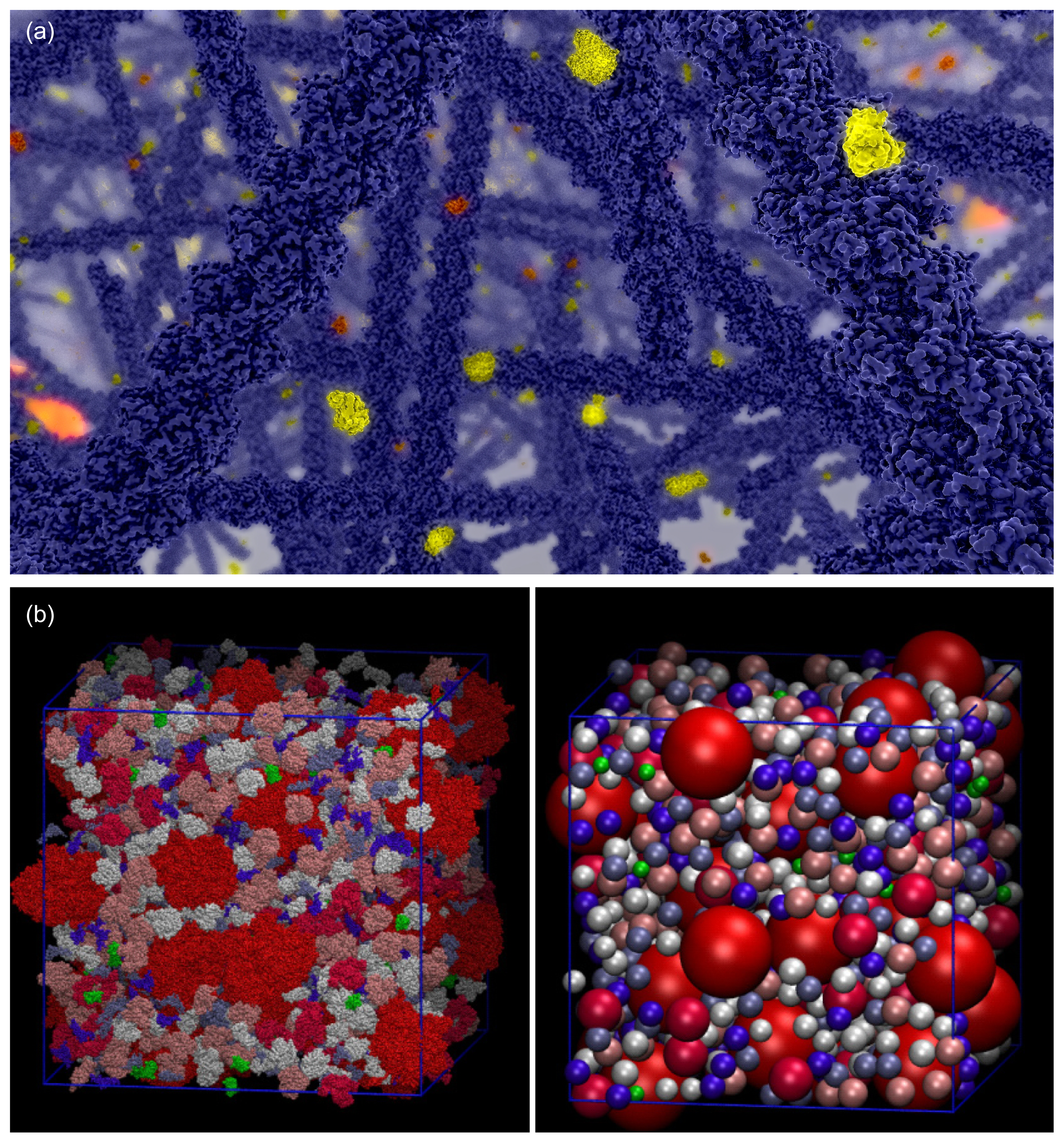 Ijms 13 07798f1 1024