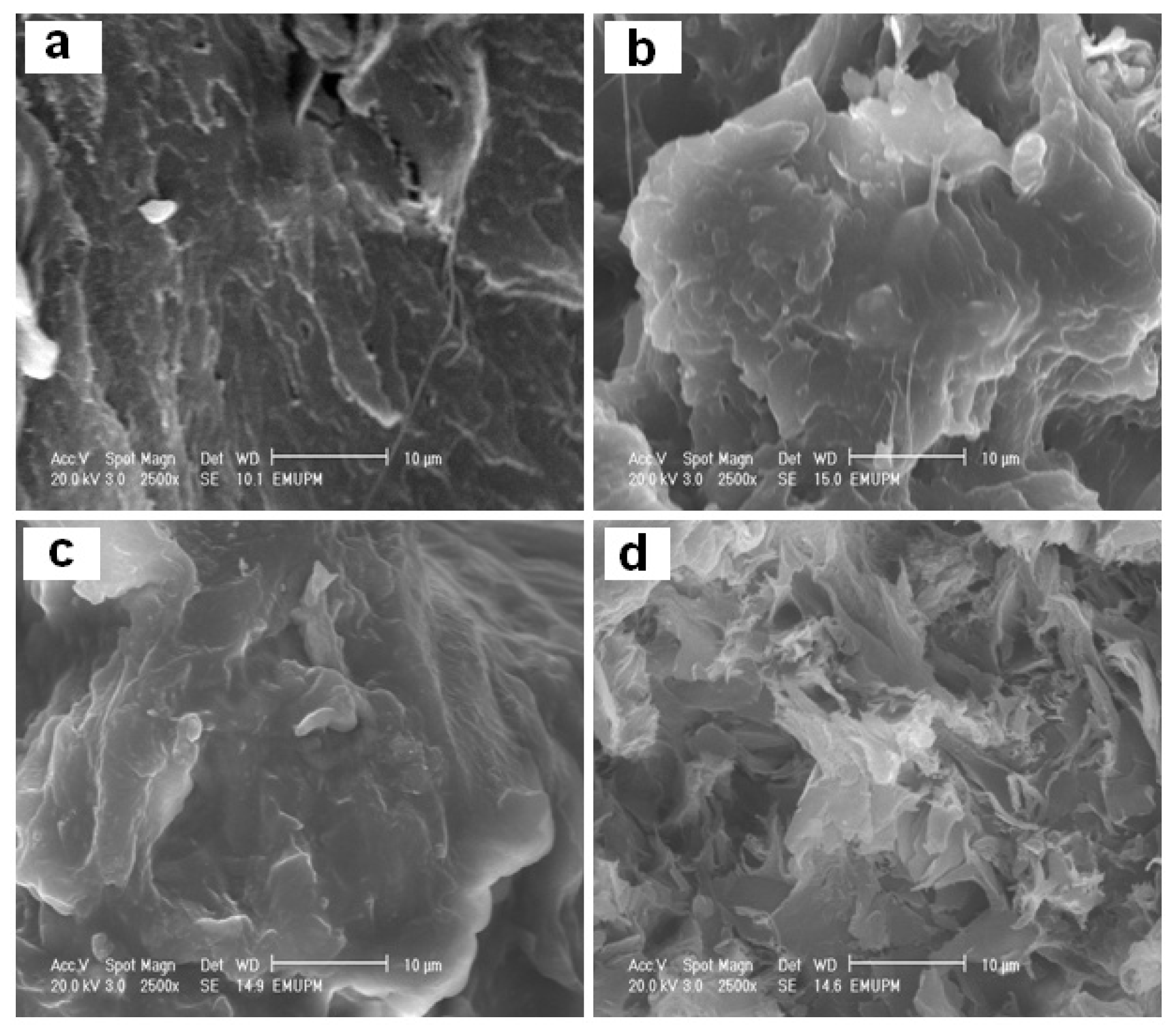 Ijms 13 07938f6 1024