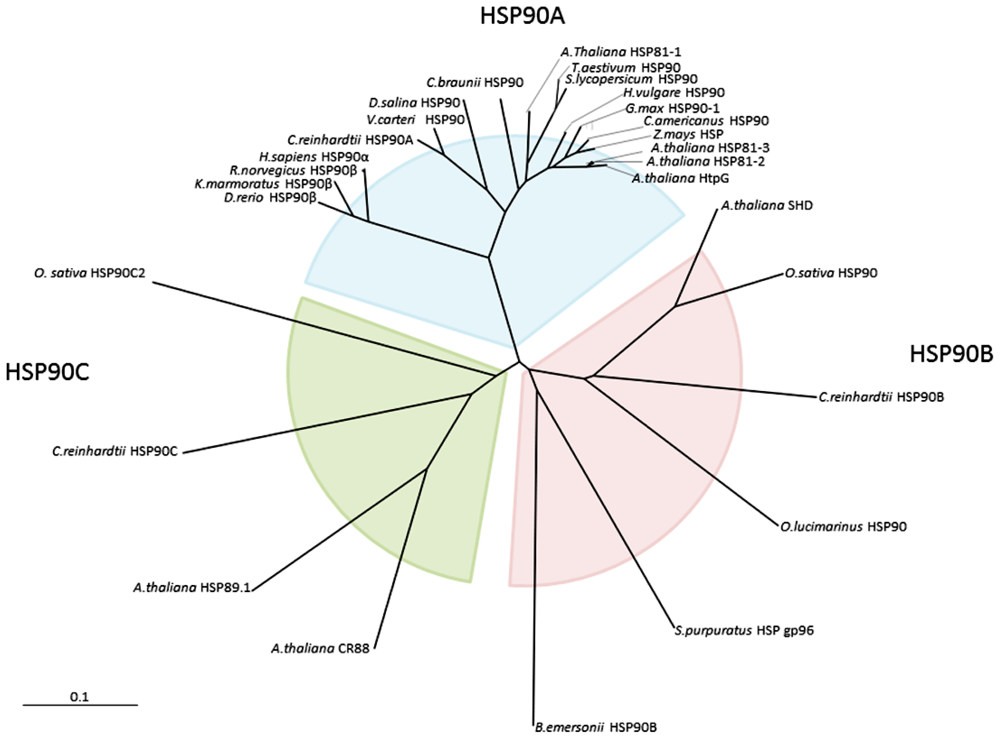 Ijms 13 07963f1 1024