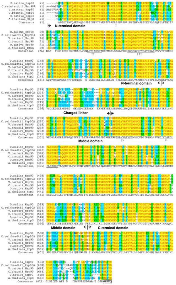 Ijms 13 07963f2 1024