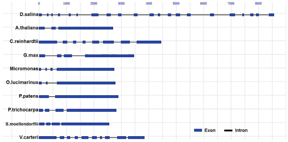 Ijms 13 07963f3 1024