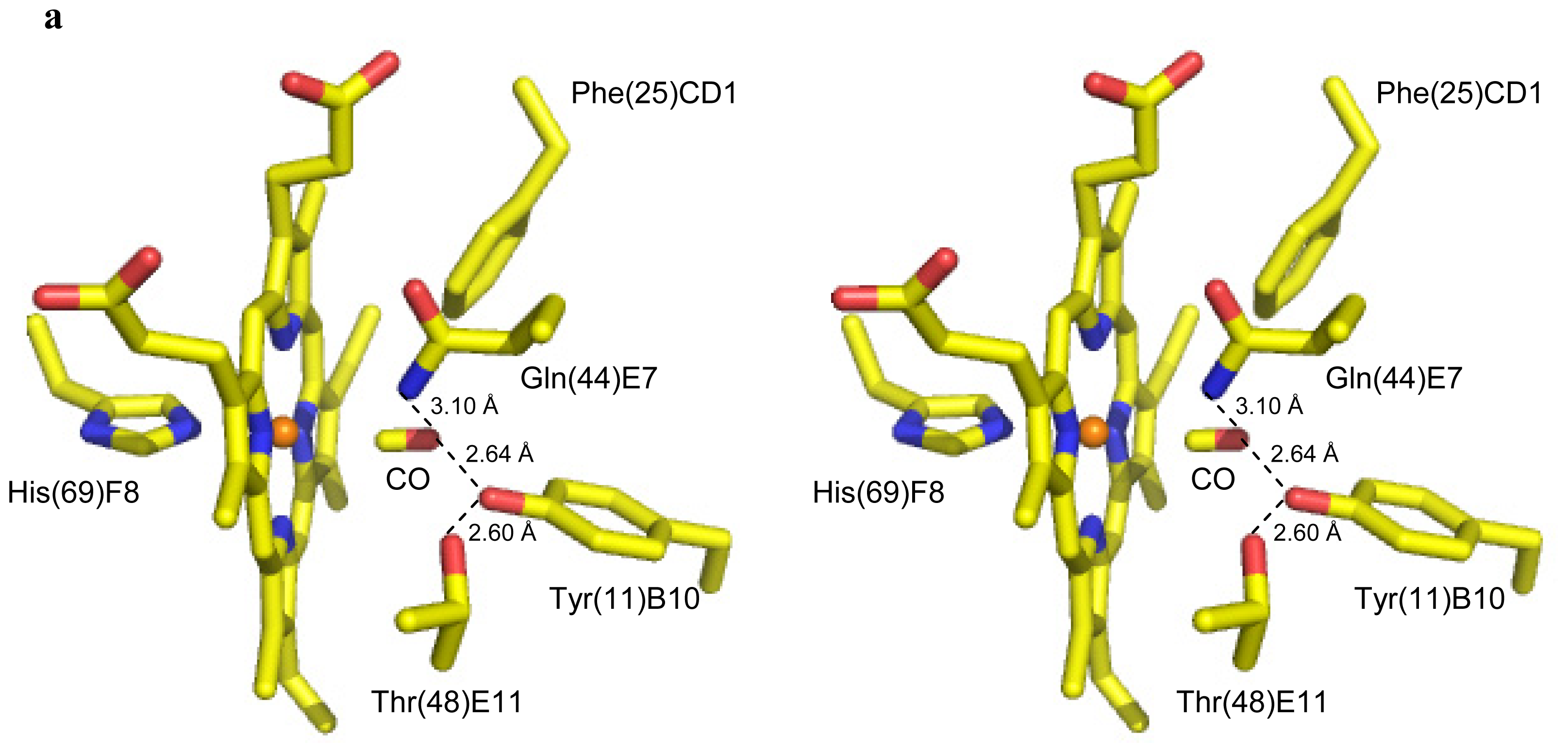 Ijms 13 08025f3a 1024