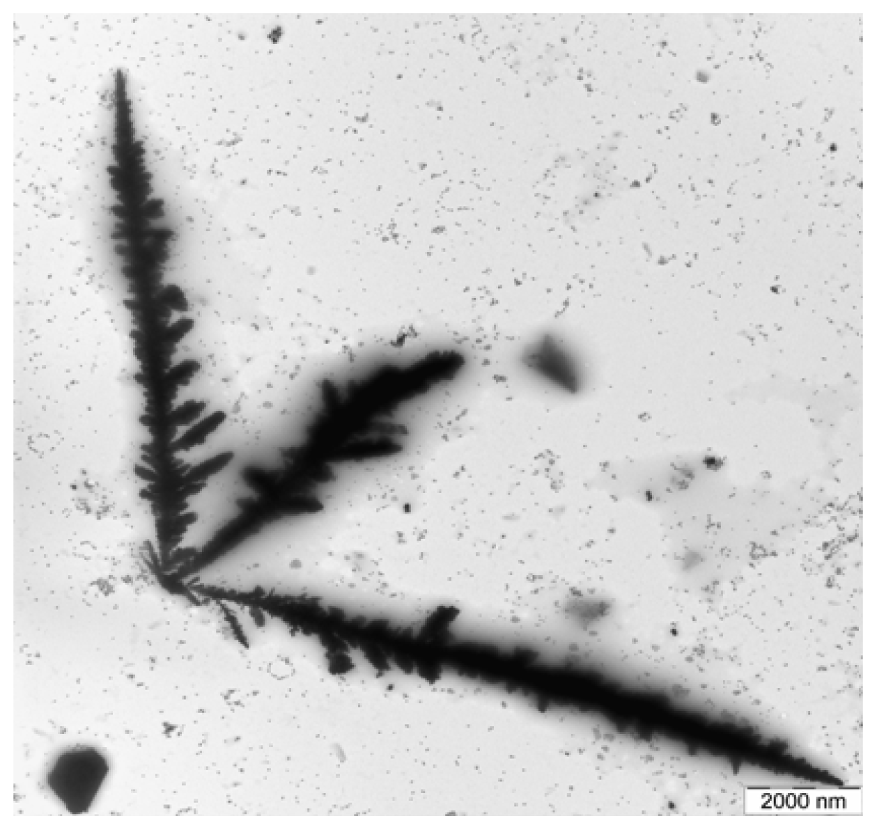 Ijms 13 08086f2 1024