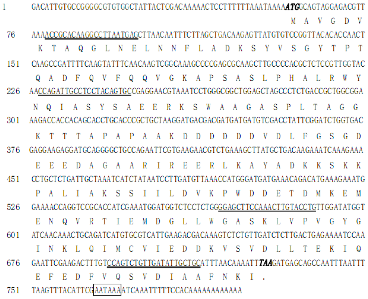 Ijms 13 08126f1 1024
