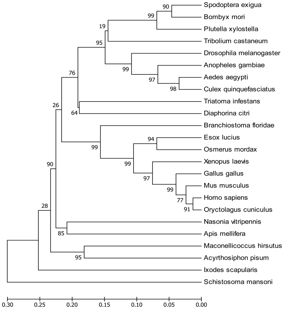 Ijms 13 08126f2 1024