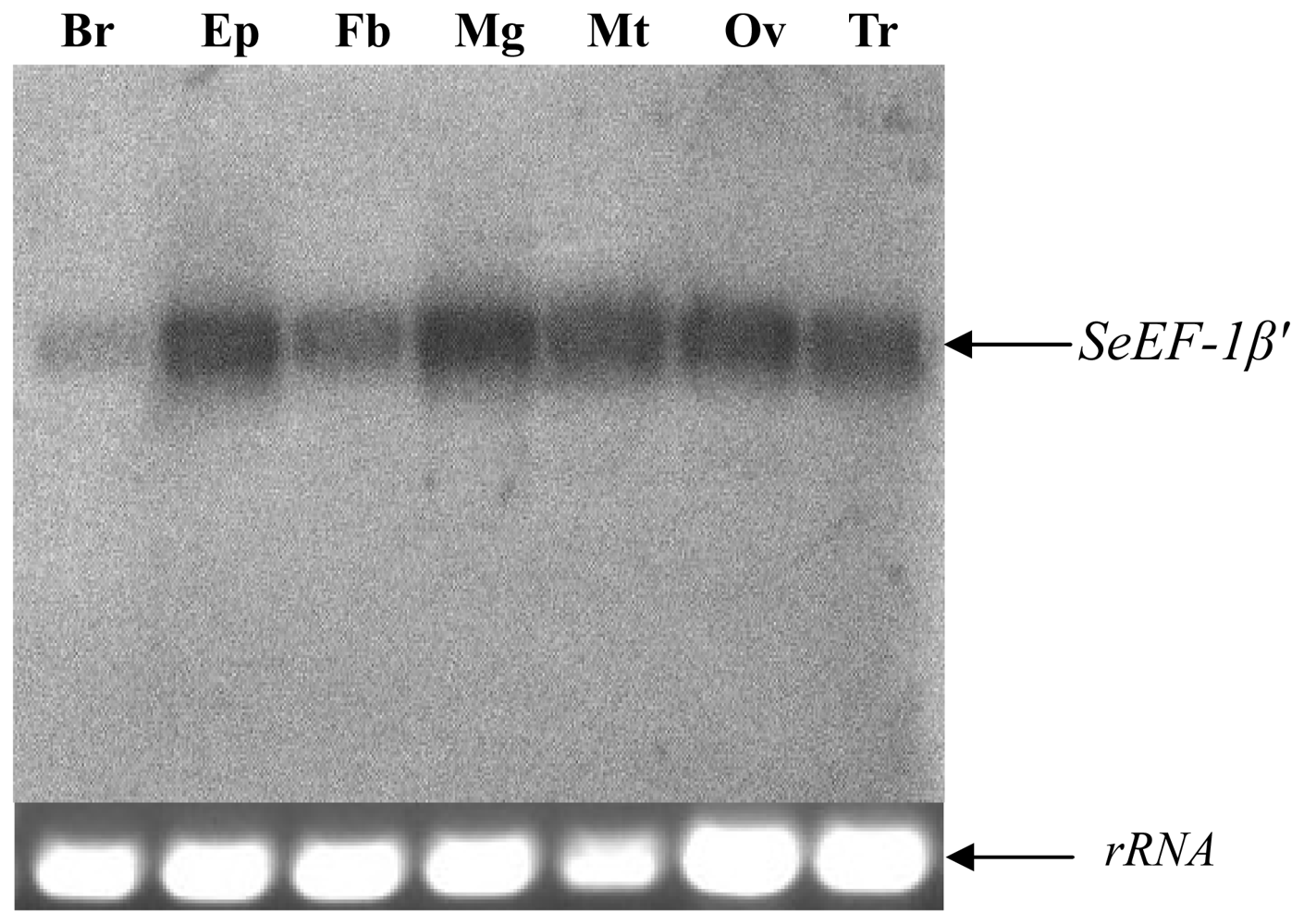 Ijms 13 08126f4 1024