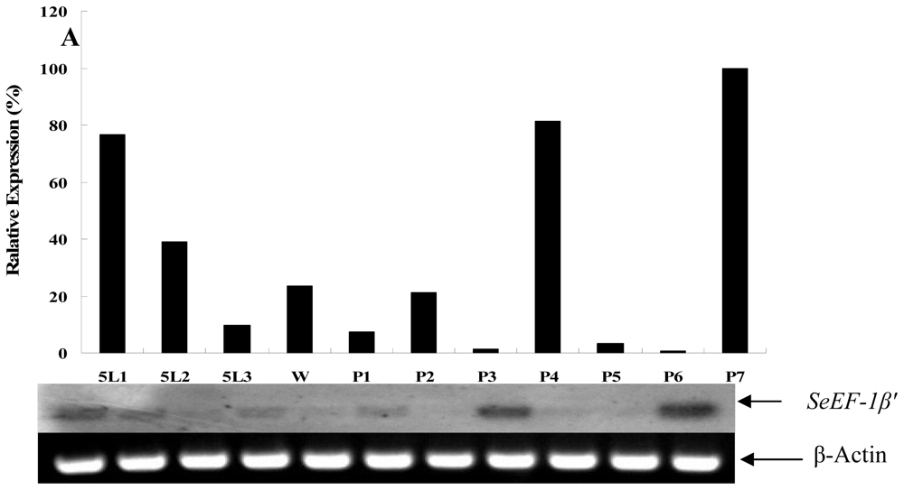 Ijms 13 08126f5a 1024