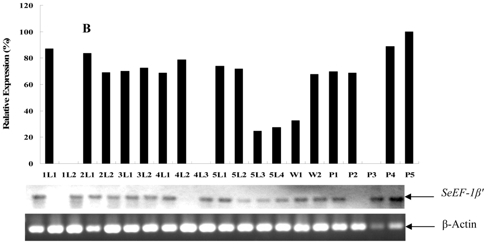 Ijms 13 08126f5b 1024